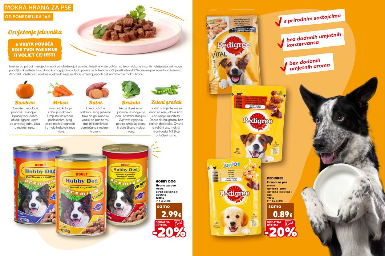 Katalog Kaufland 19.09.2024 - 06.10.2024