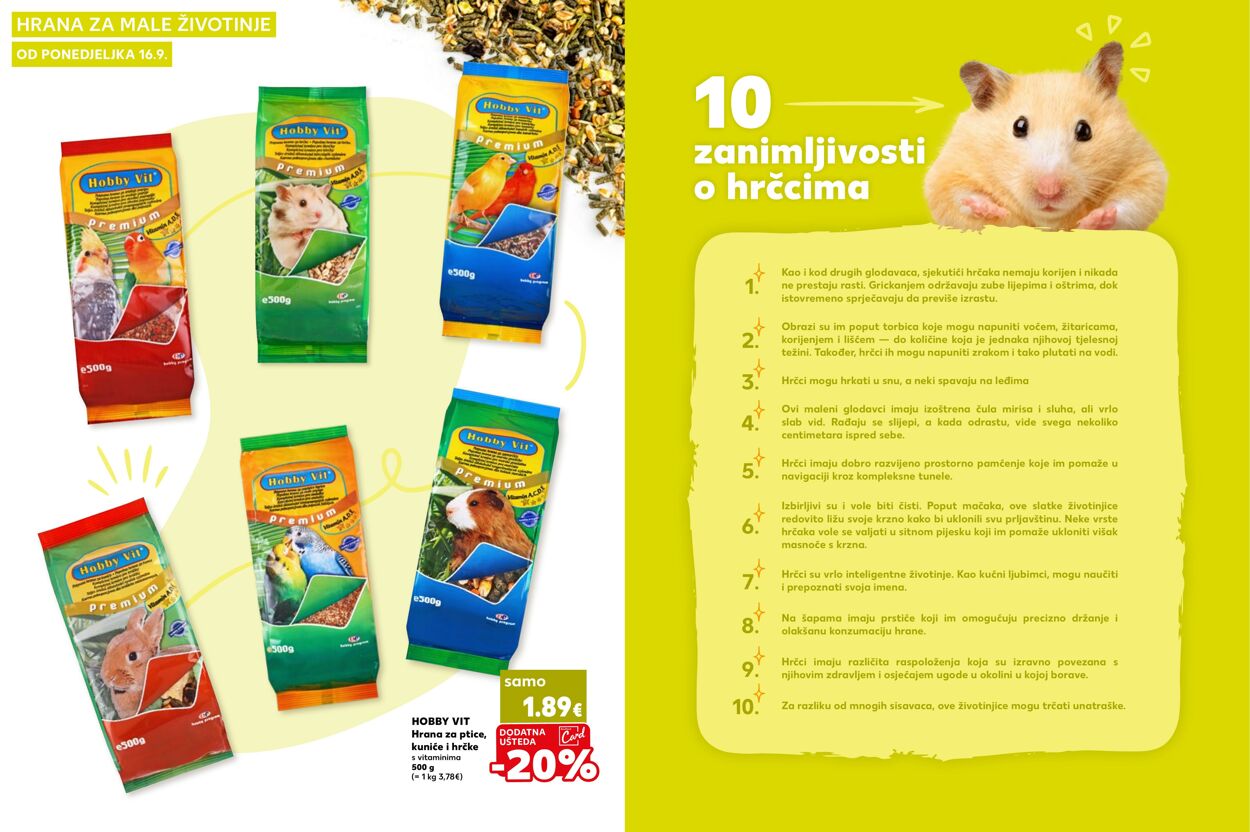 Katalog Kaufland 19.09.2024 - 06.10.2024