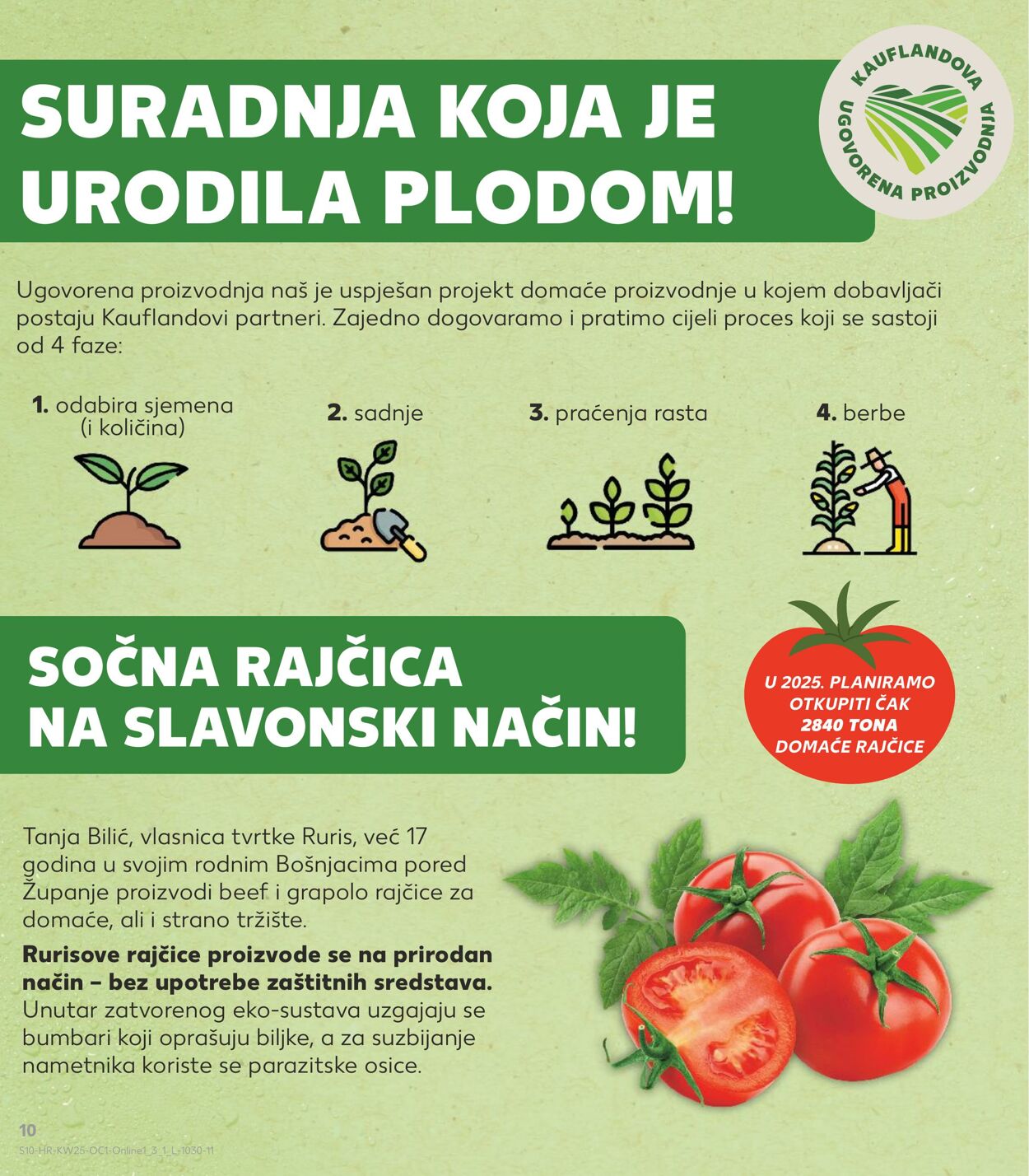 Katalog Kaufland 18.06.2025 - 24.06.2025