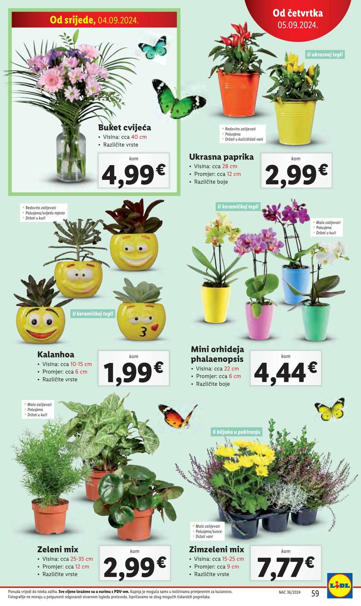 Katalog Lidl 03.09.2024 - 09.09.2024