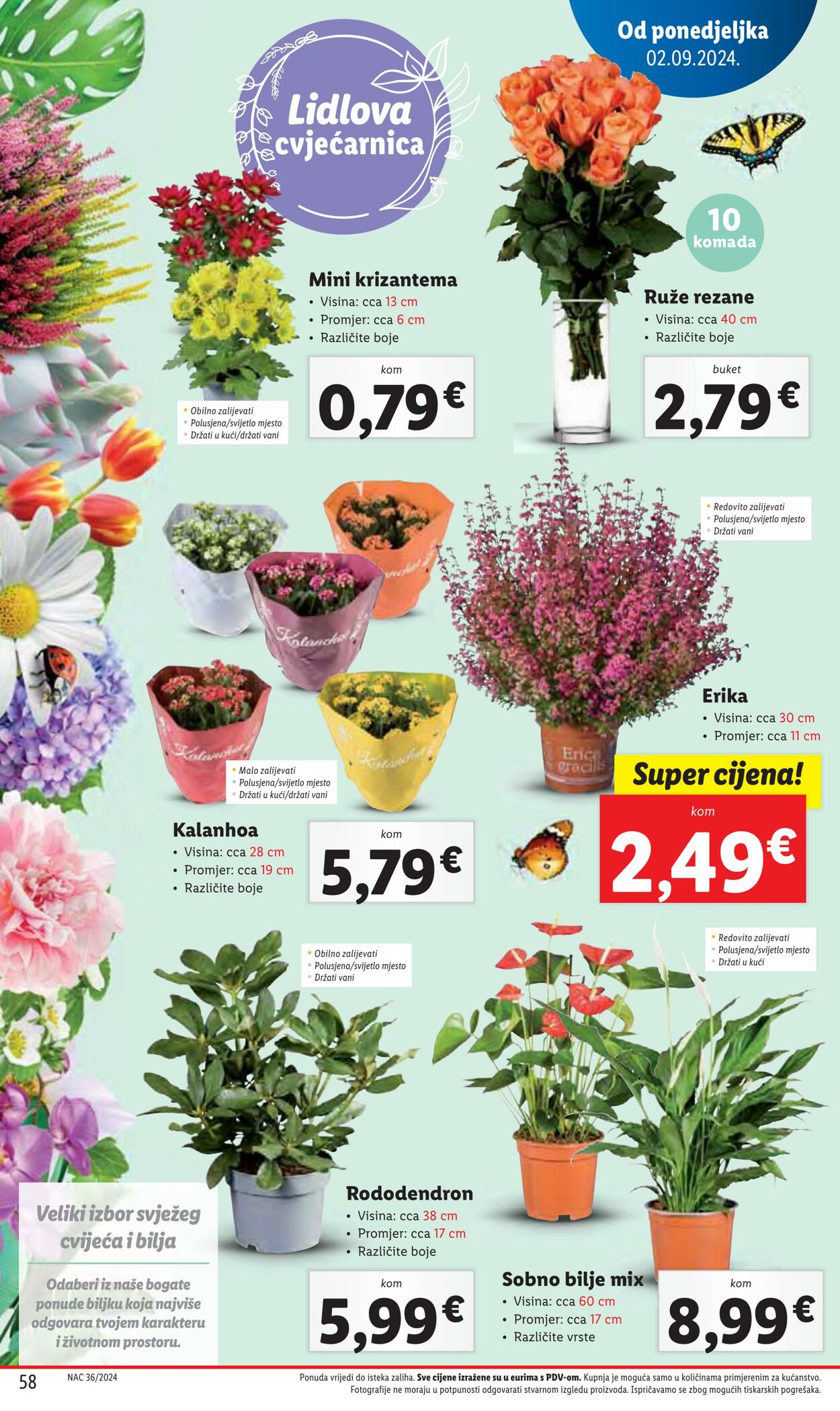 Katalog Lidl 03.09.2024 - 09.09.2024