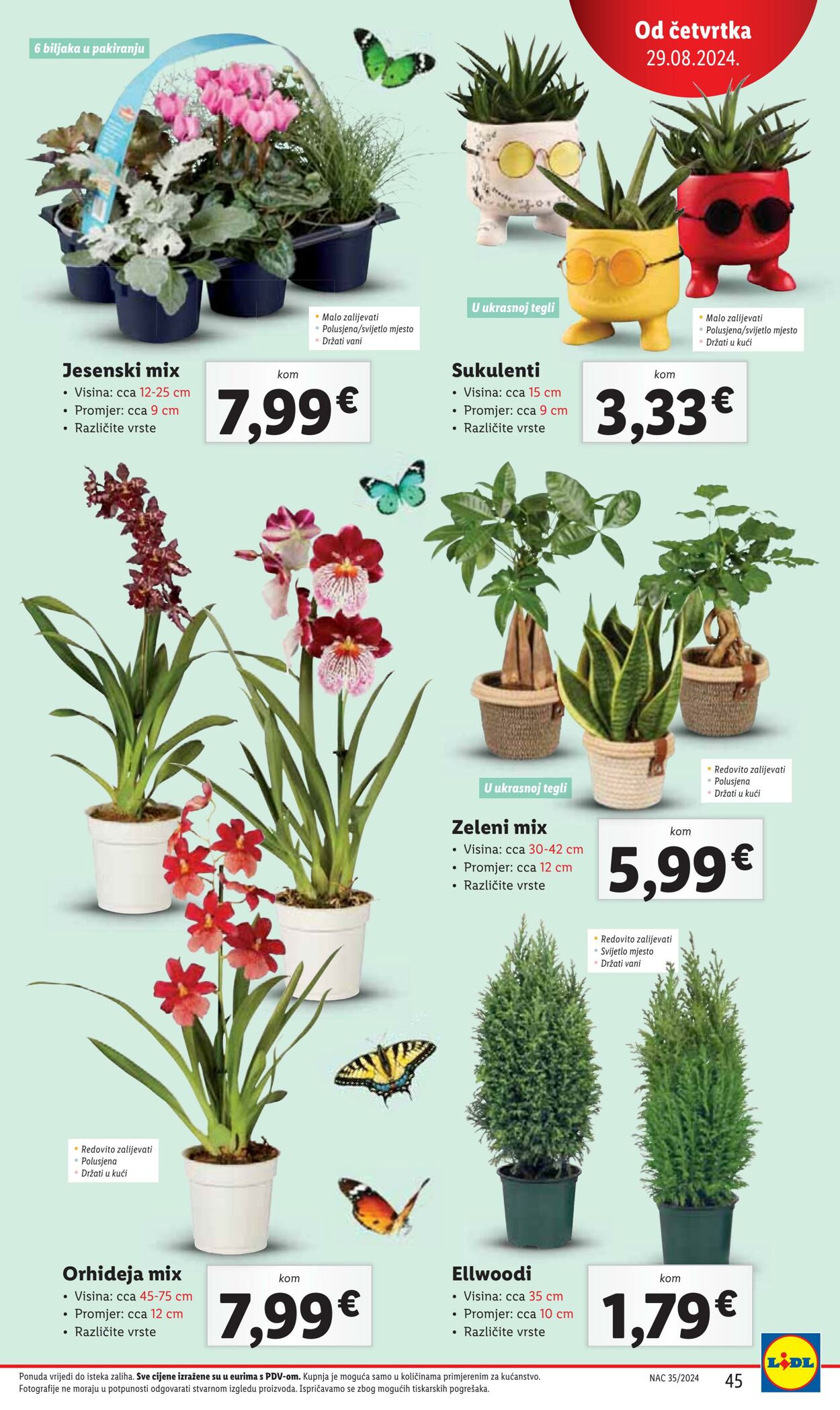 Katalog Lidl 28.08.2024 - 02.09.2024