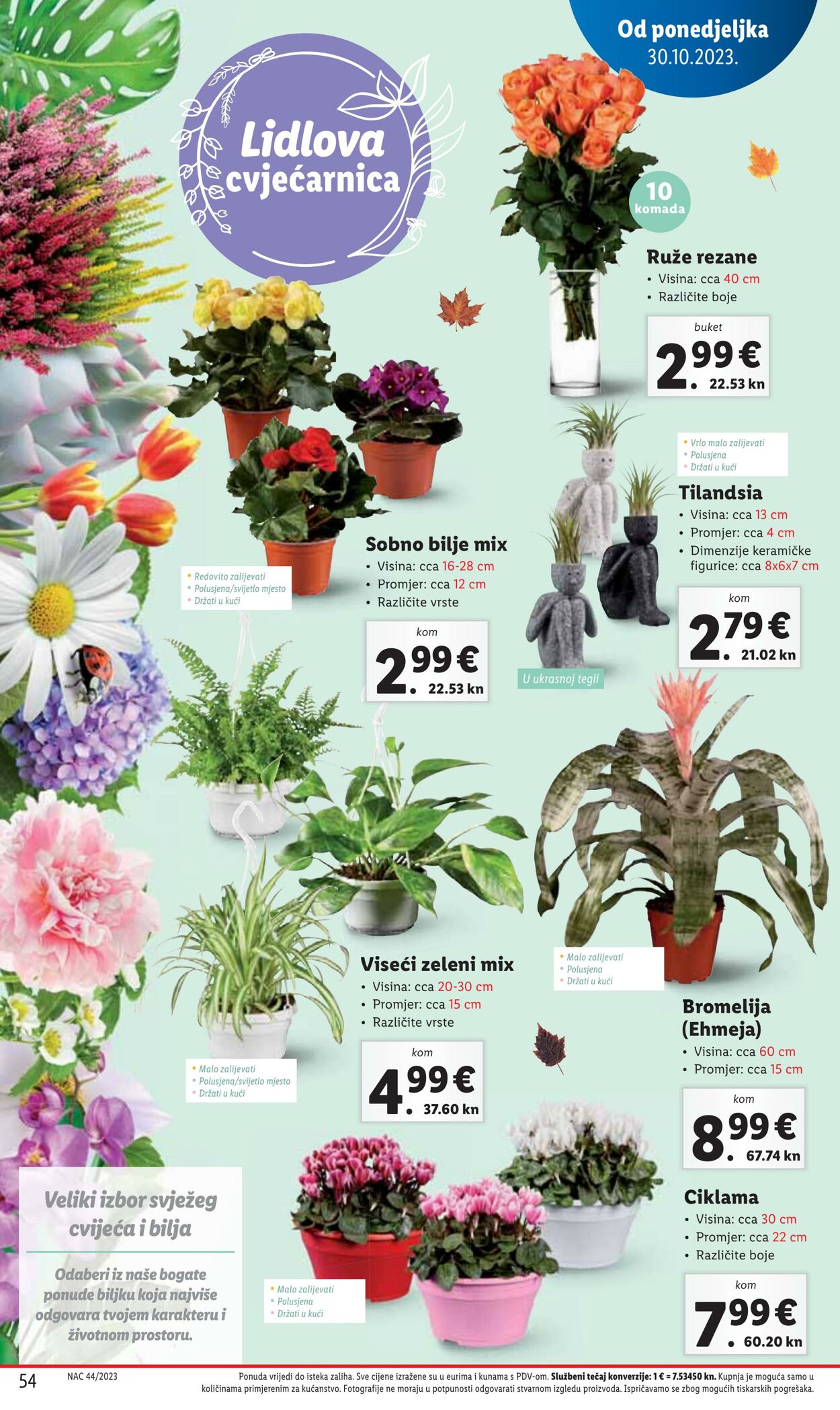 Katalog Lidl 30.10.2023 - 05.11.2023