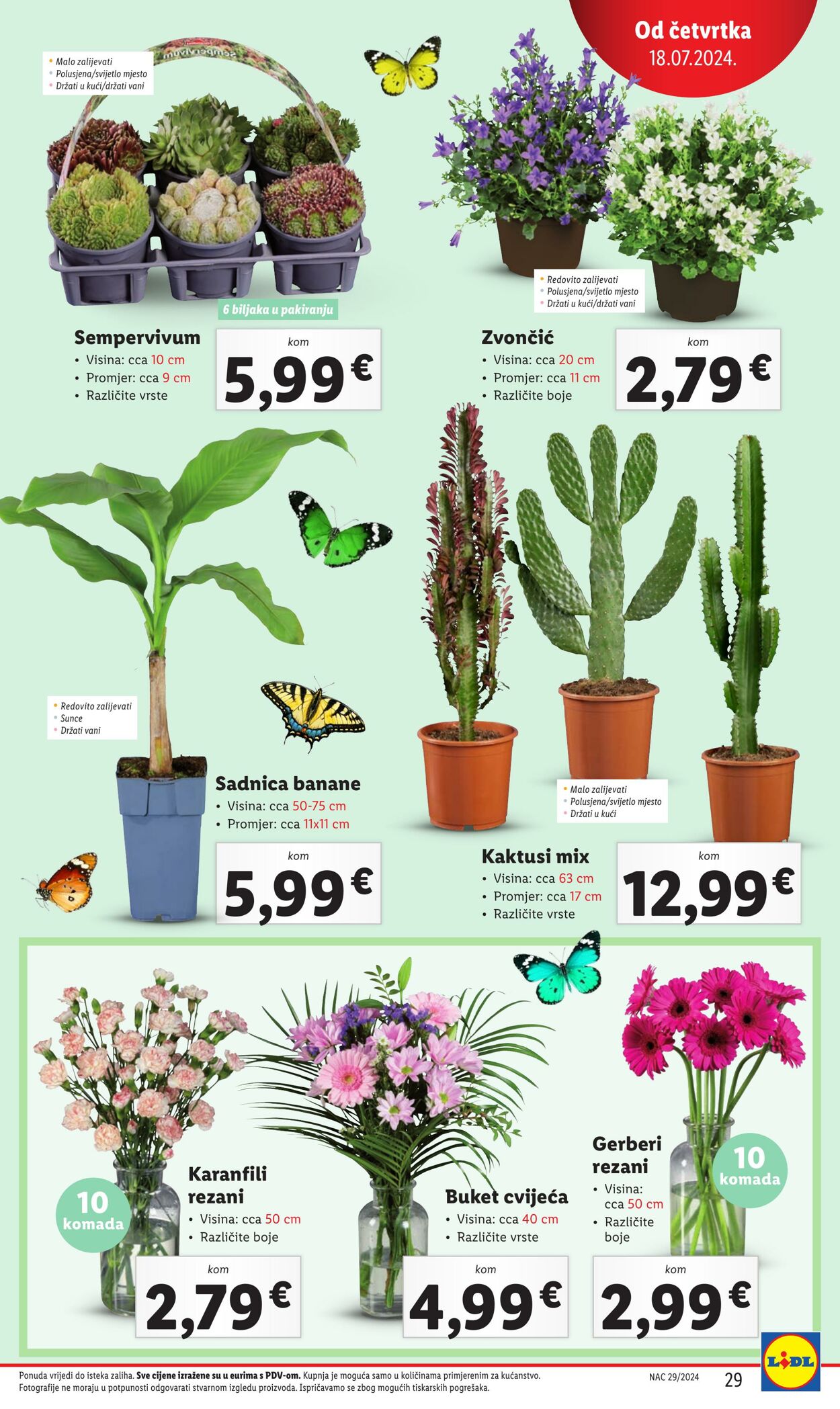 Katalog Lidl 14.07.2024 - 21.07.2024