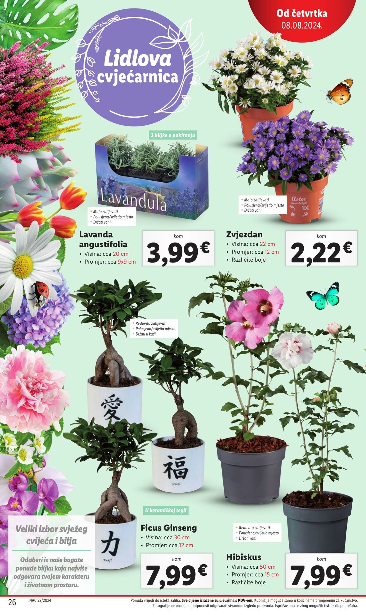 Katalog Lidl 08.08.2024 - 11.08.2024