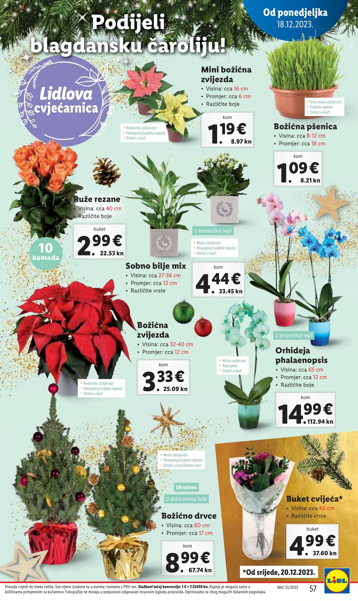 Katalog Lidl 18.12.2023 - 24.12.2023