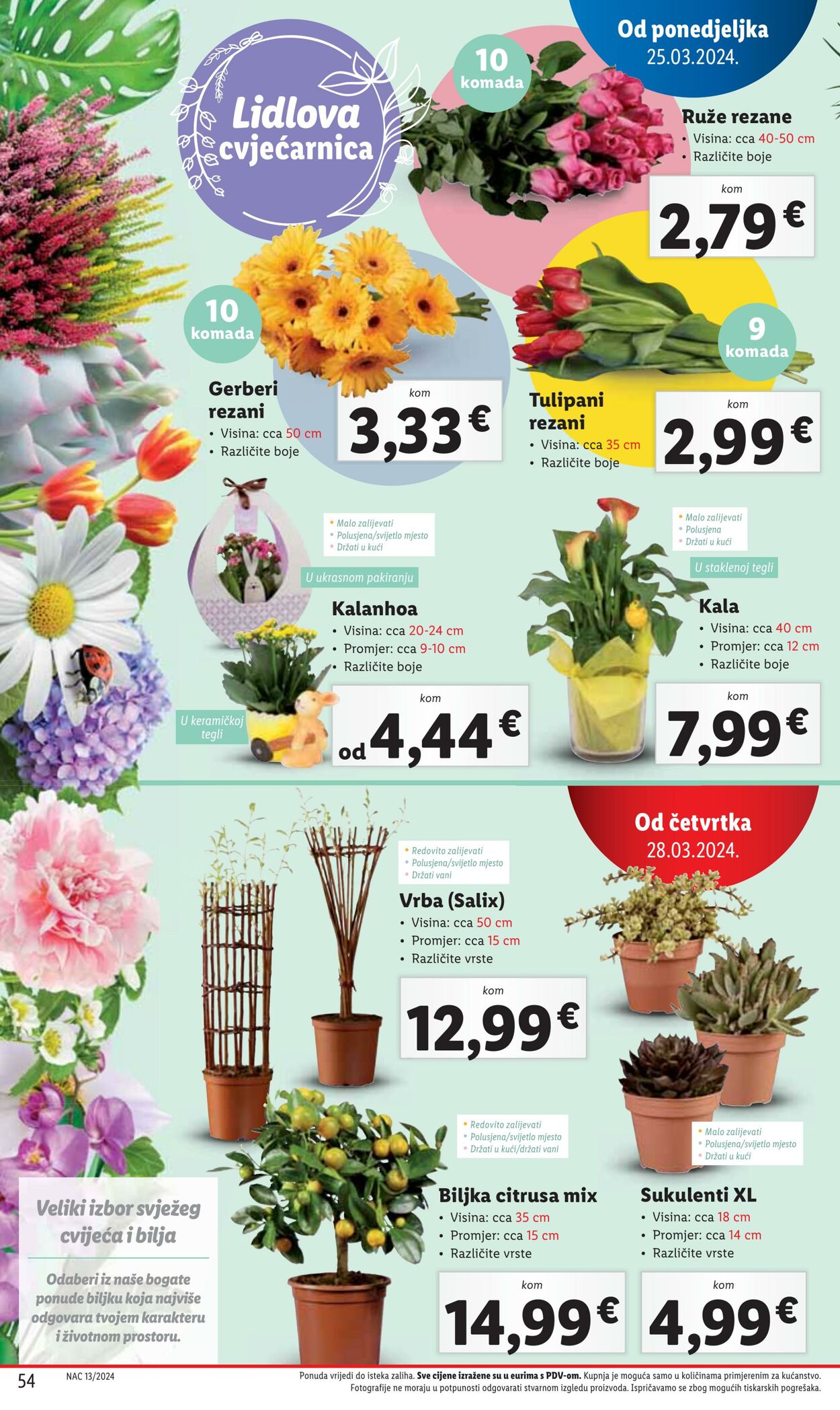 Katalog Lidl 25.03.2024 - 30.03.2024