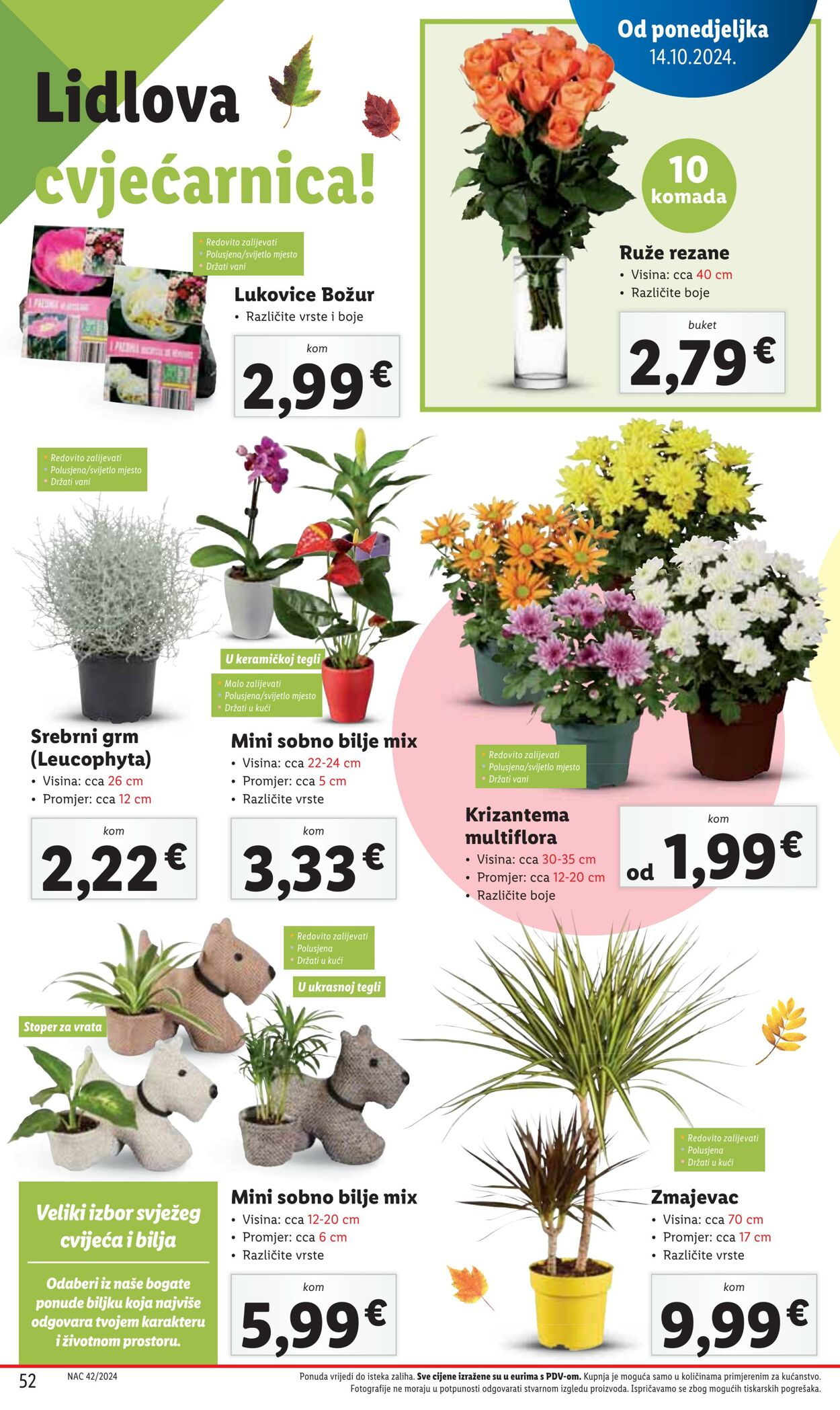 Katalog Lidl 10.10.2024 - 10.11.2024