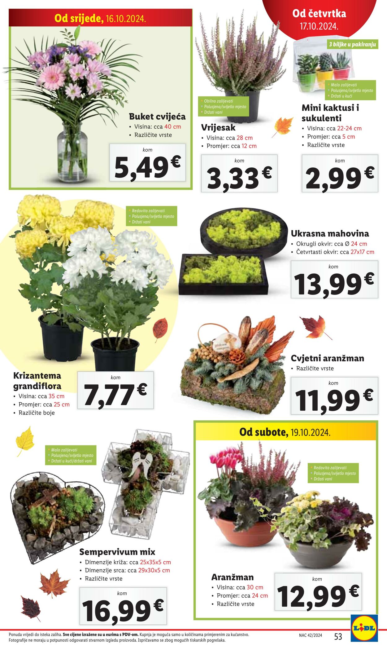 Katalog Lidl 10.10.2024 - 10.11.2024