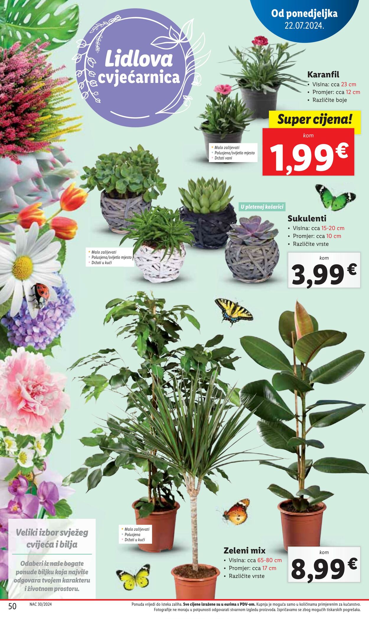 Katalog Lidl 22.07.2024 - 28.07.2024