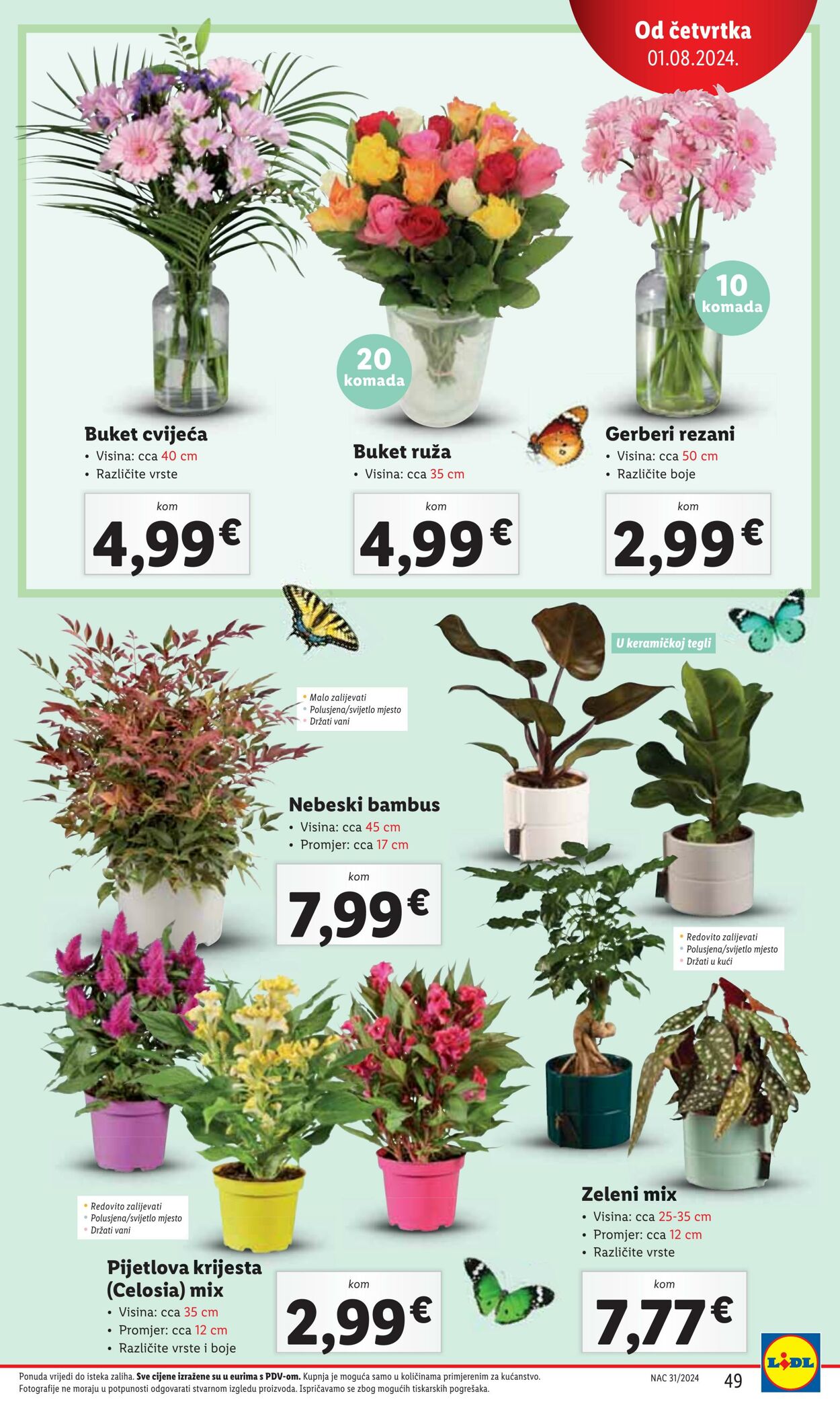 Katalog Lidl 29.07.2024 - 04.08.2024