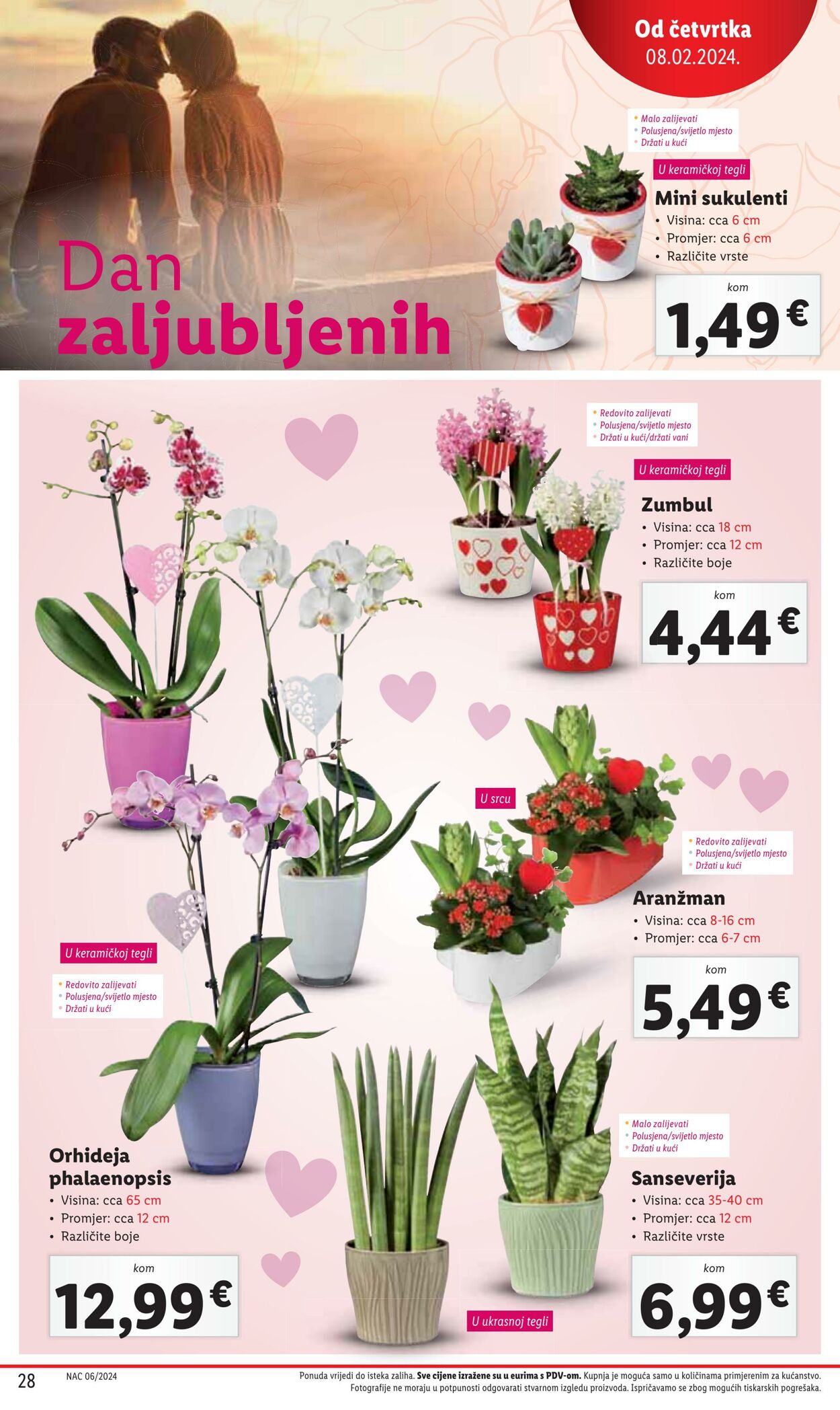 Katalog Lidl 08.02.2024 - 10.02.2024