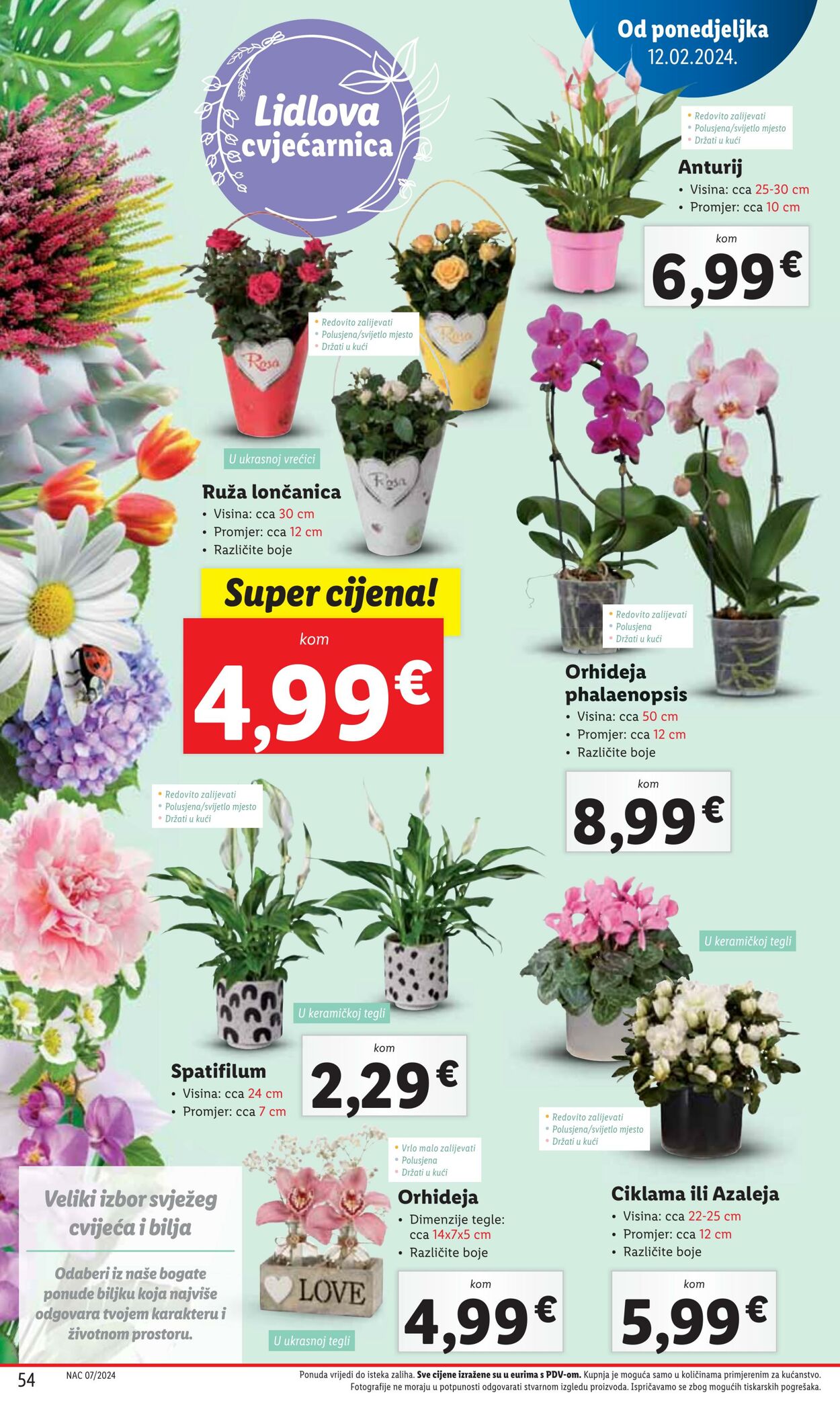 Katalog Lidl 12.02.2024 - 17.02.2024