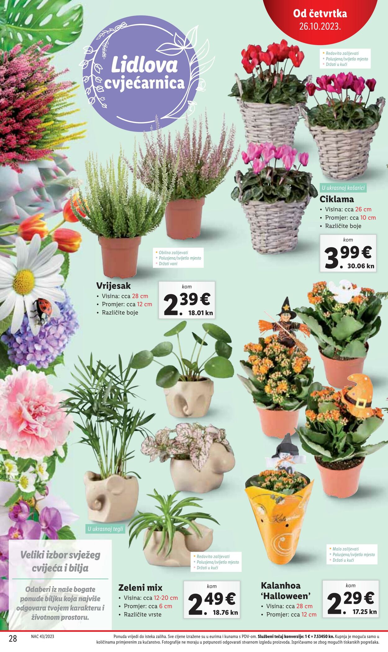 Katalog Lidl 26.10.2023 - 29.10.2023