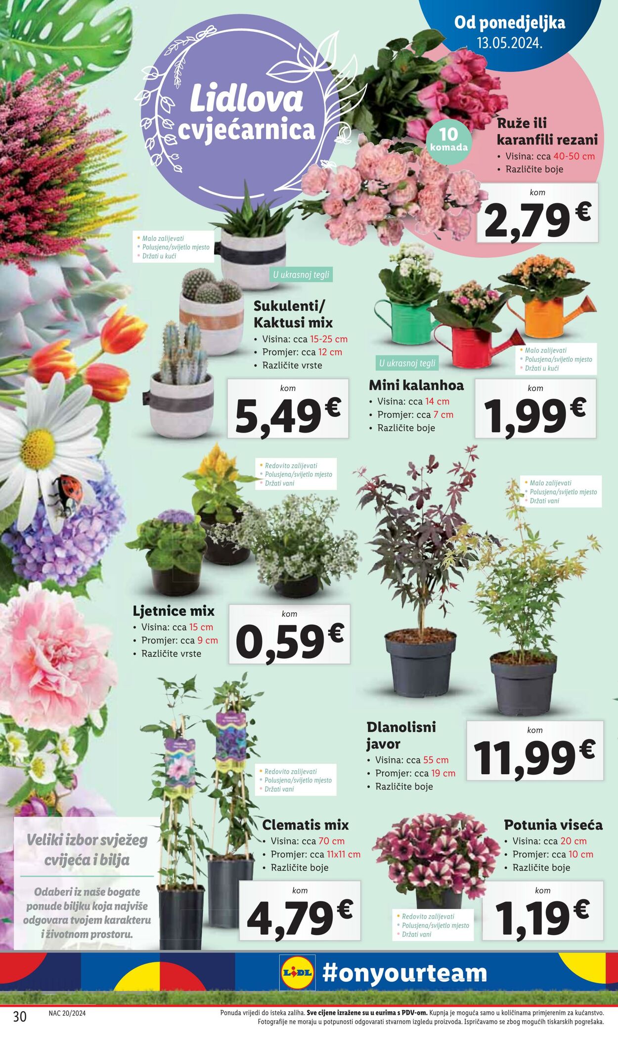 Katalog Lidl 13.05.2024 - 19.05.2024