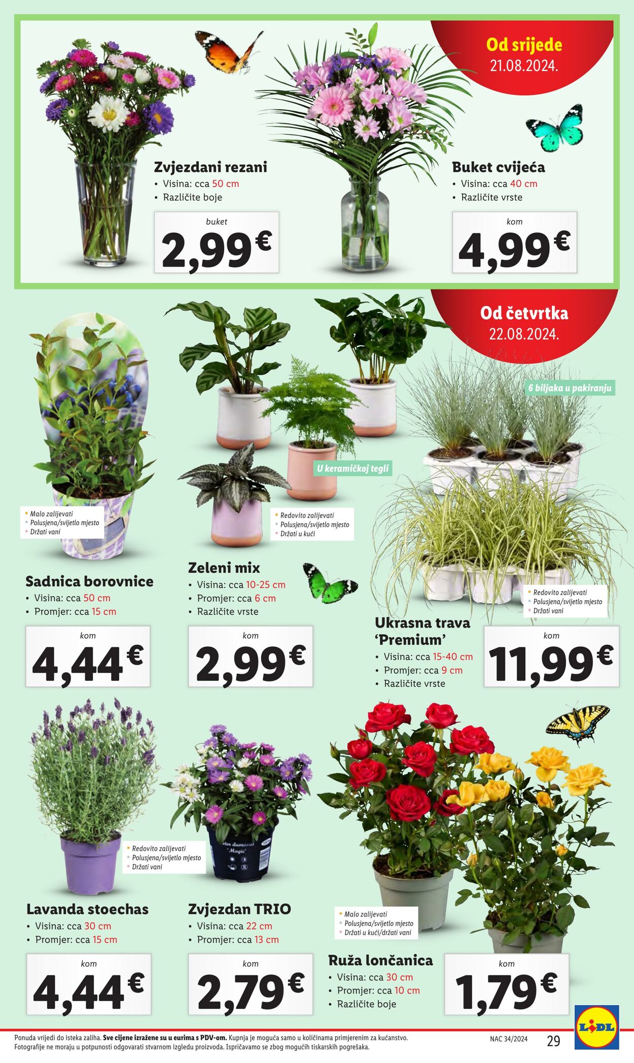 Katalog Lidl 19.08.2024 - 25.08.2024