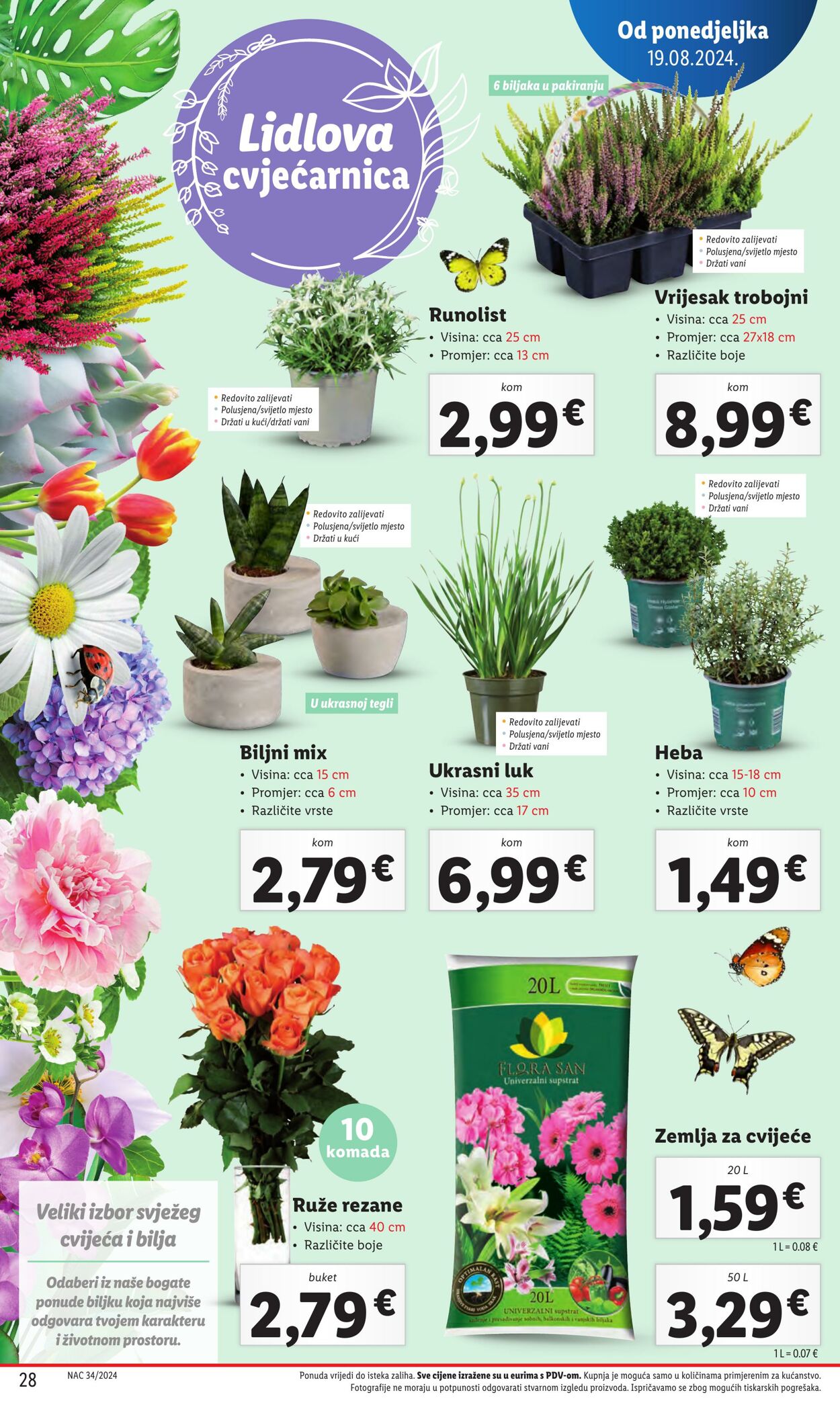 Katalog Lidl 19.08.2024 - 25.08.2024