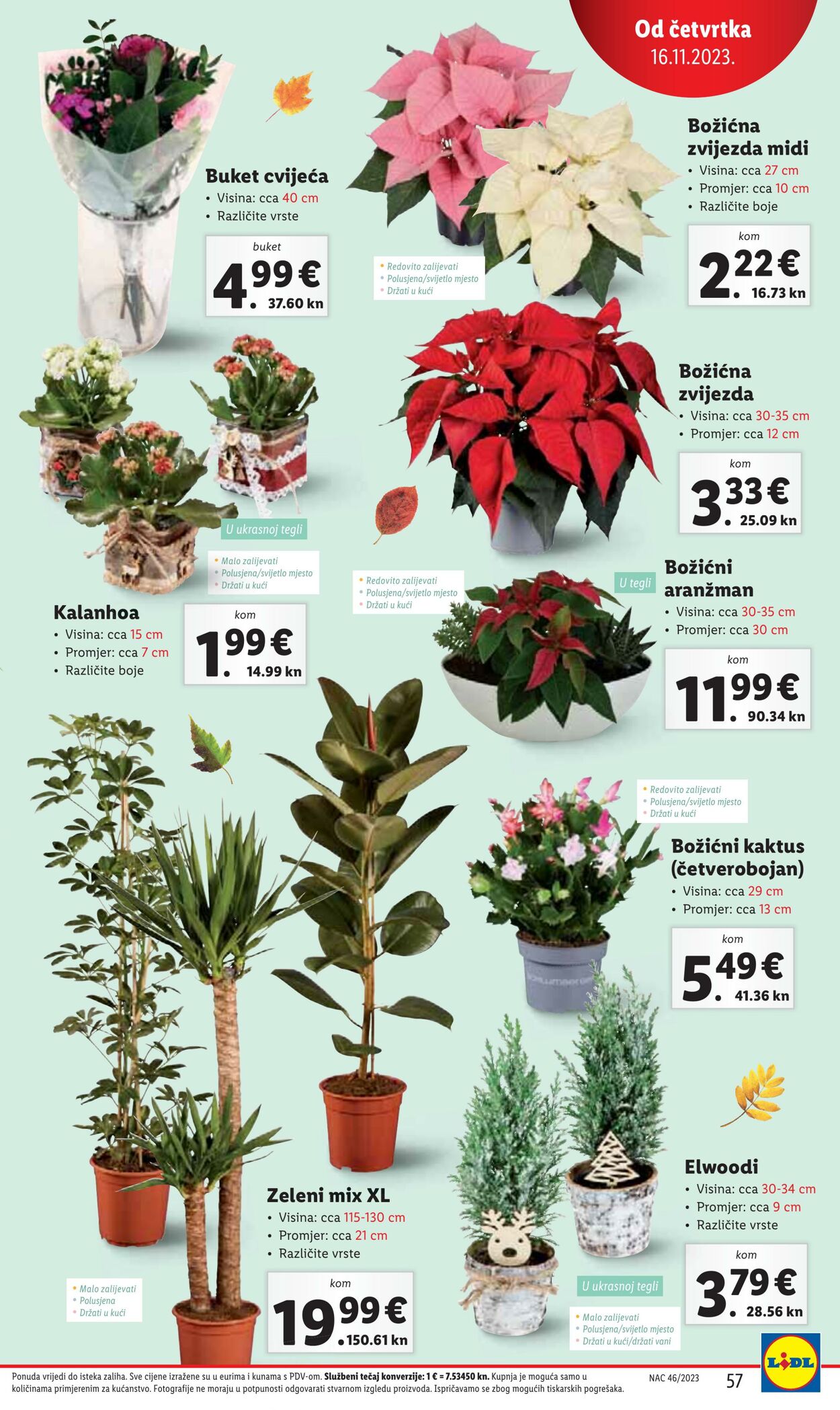 Katalog Lidl 13.11.2023 - 19.11.2023