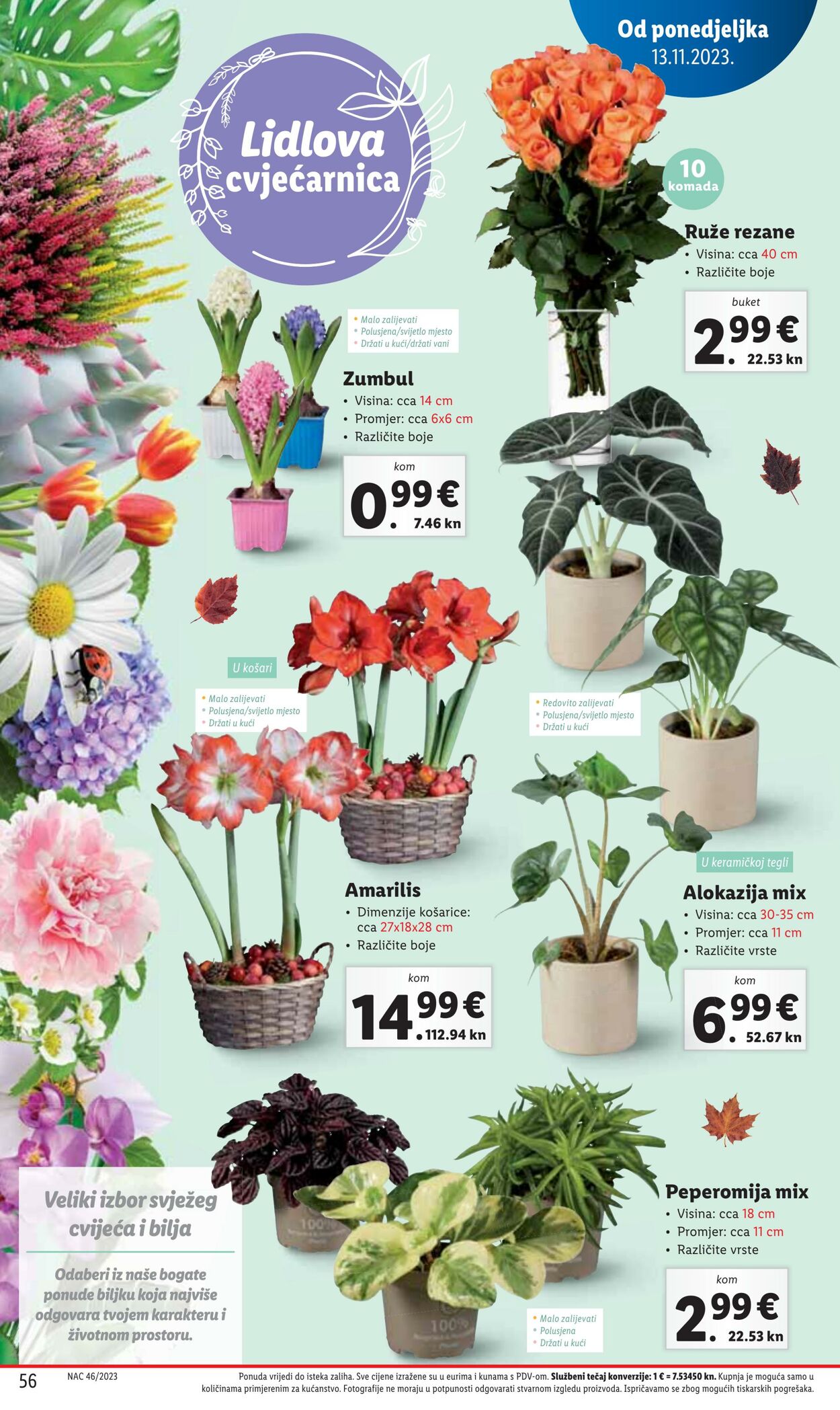 Katalog Lidl 13.11.2023 - 19.11.2023