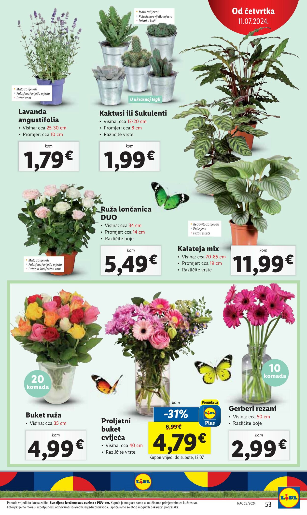 Katalog Lidl 08.07.2024 - 14.07.2024