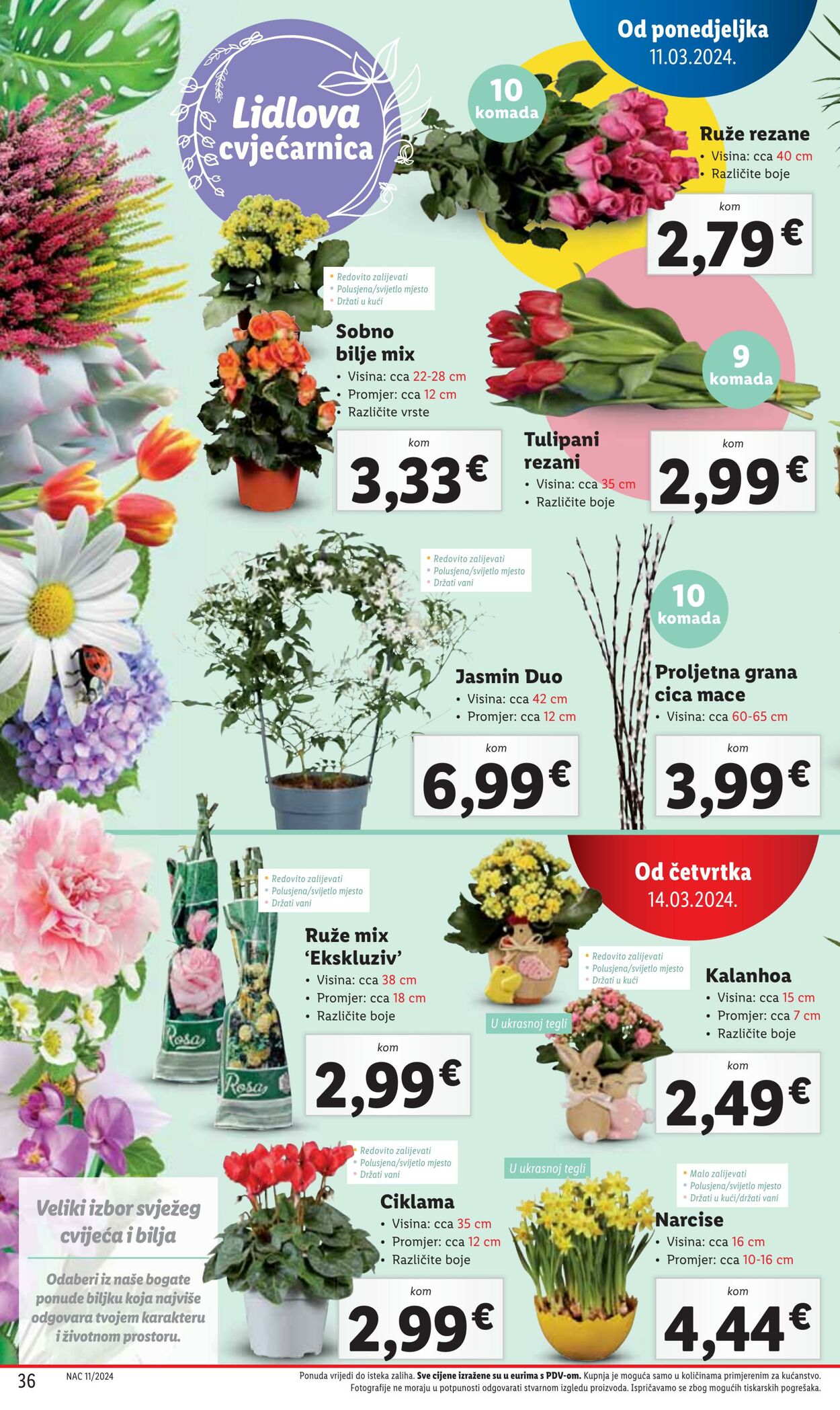 Katalog Lidl 11.03.2024 - 17.03.2024