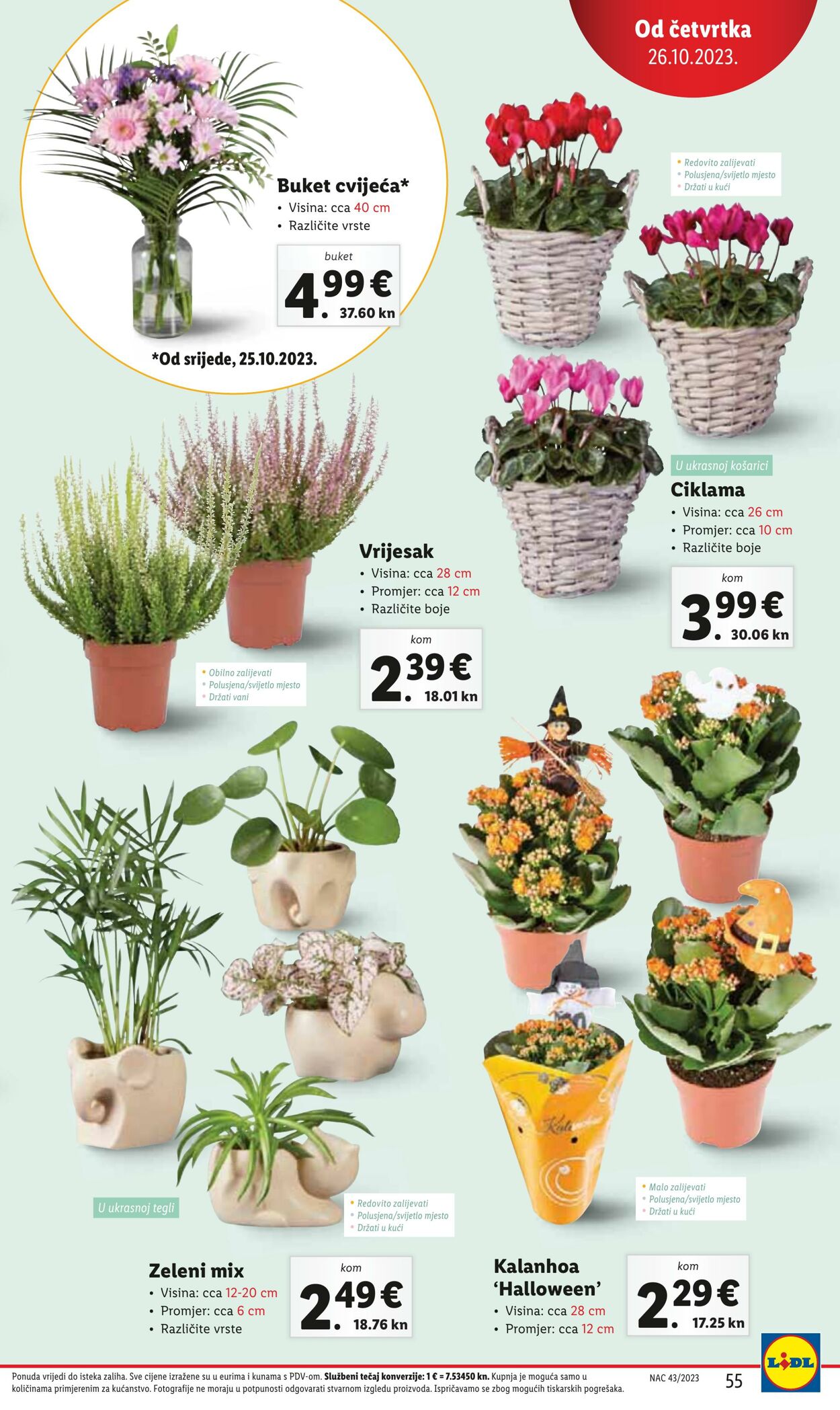 Katalog Lidl 23.10.2023 - 29.10.2023