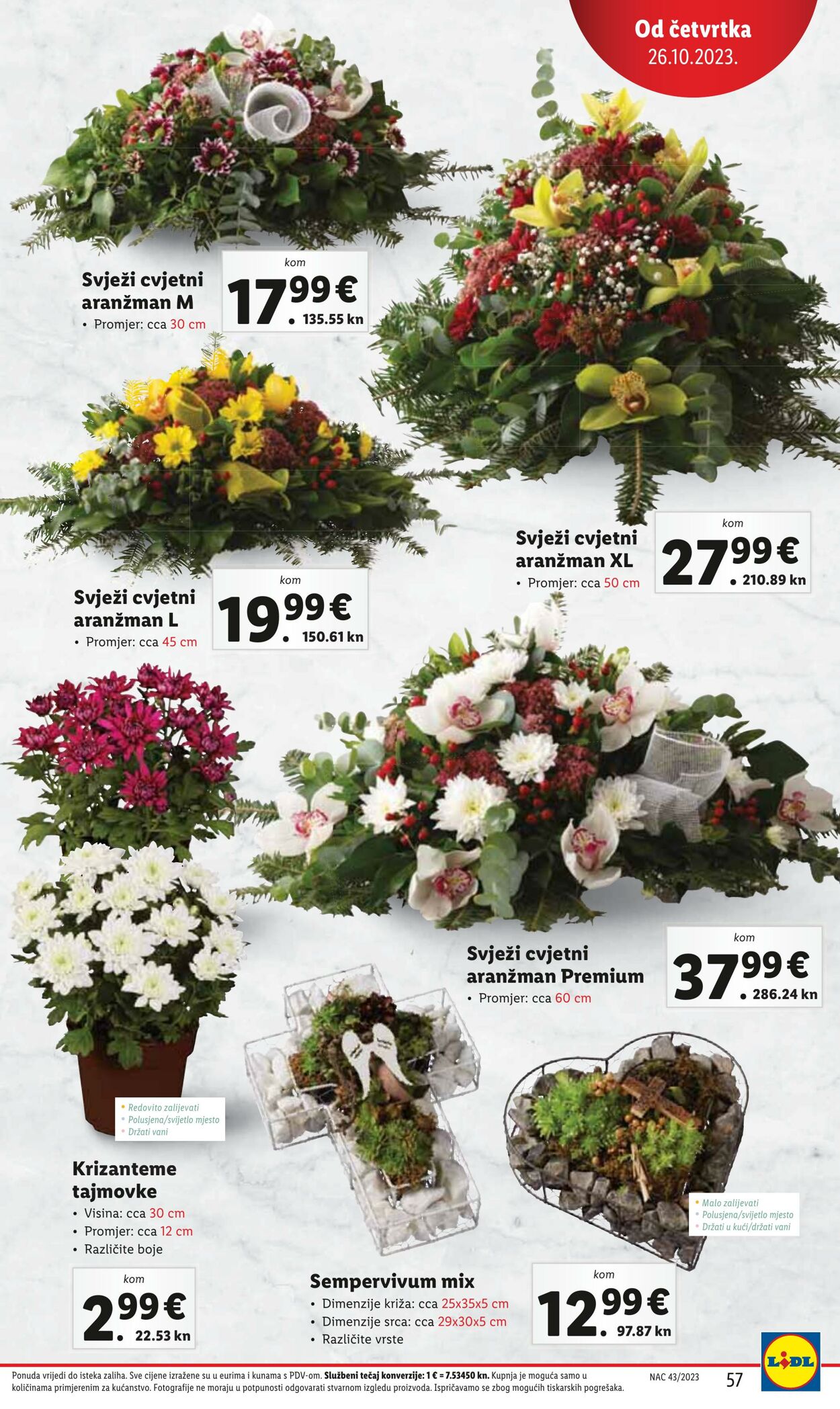 Katalog Lidl 23.10.2023 - 29.10.2023