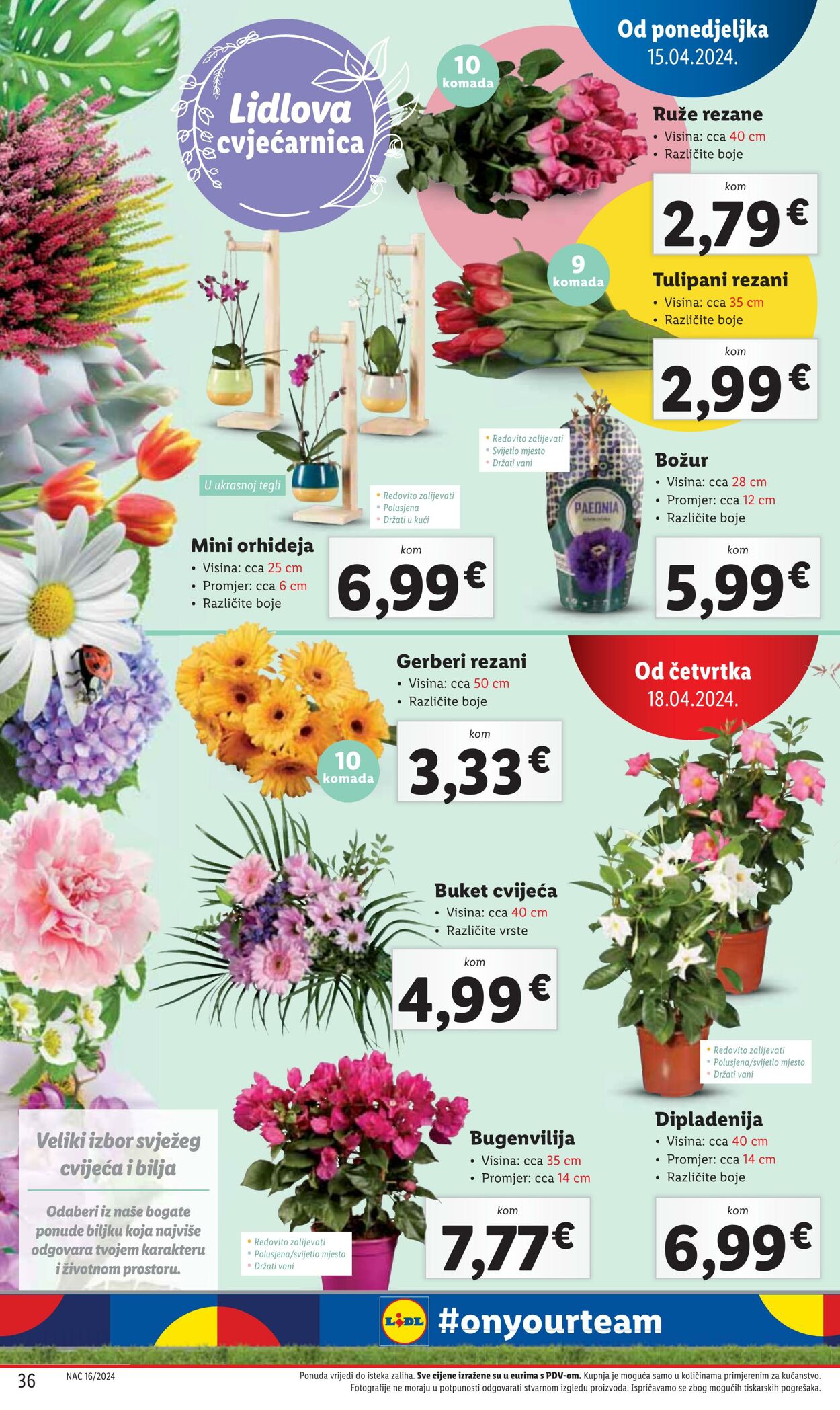 Katalog Lidl 15.04.2024 - 21.04.2024