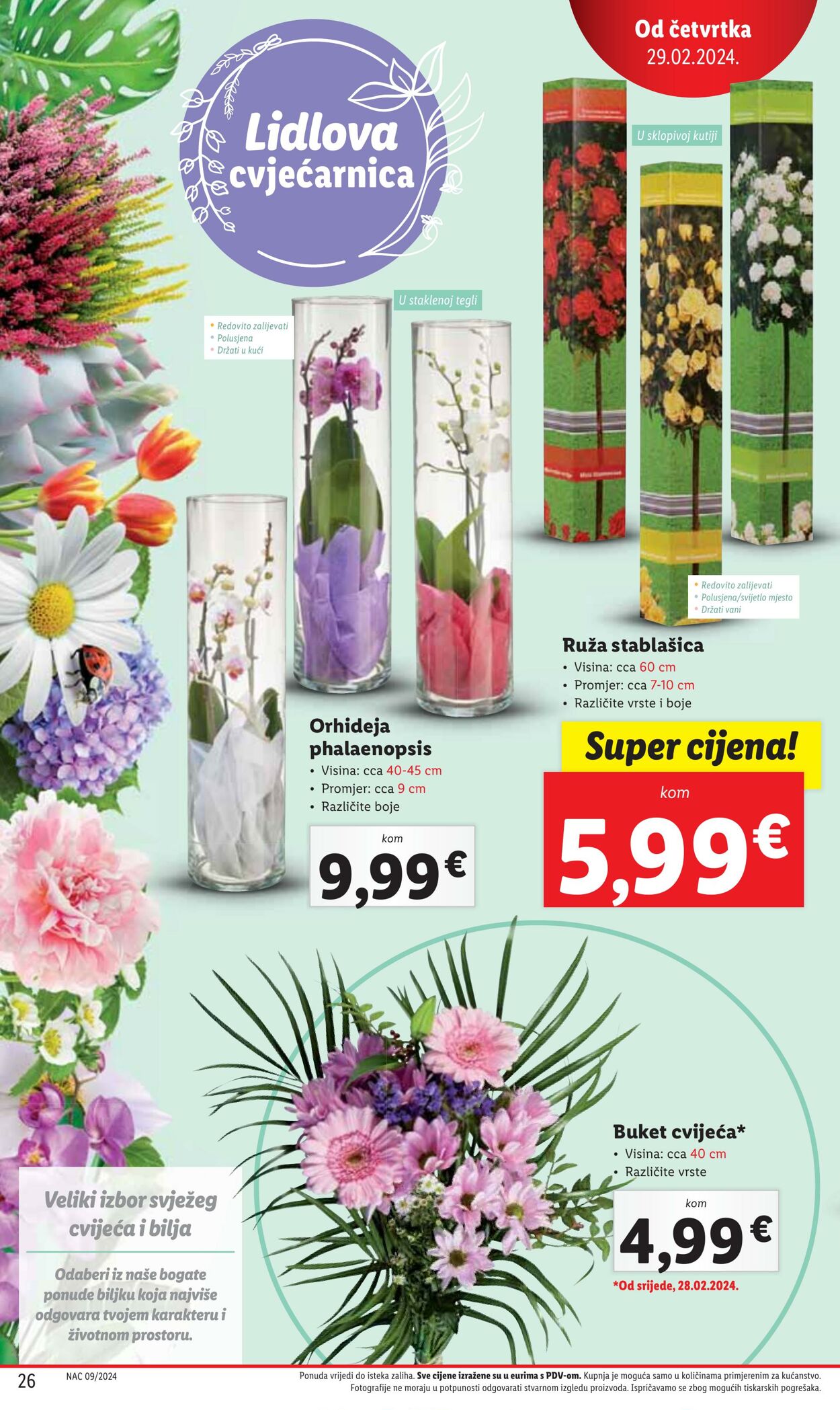 Katalog Lidl 29.02.2024 - 03.03.2024