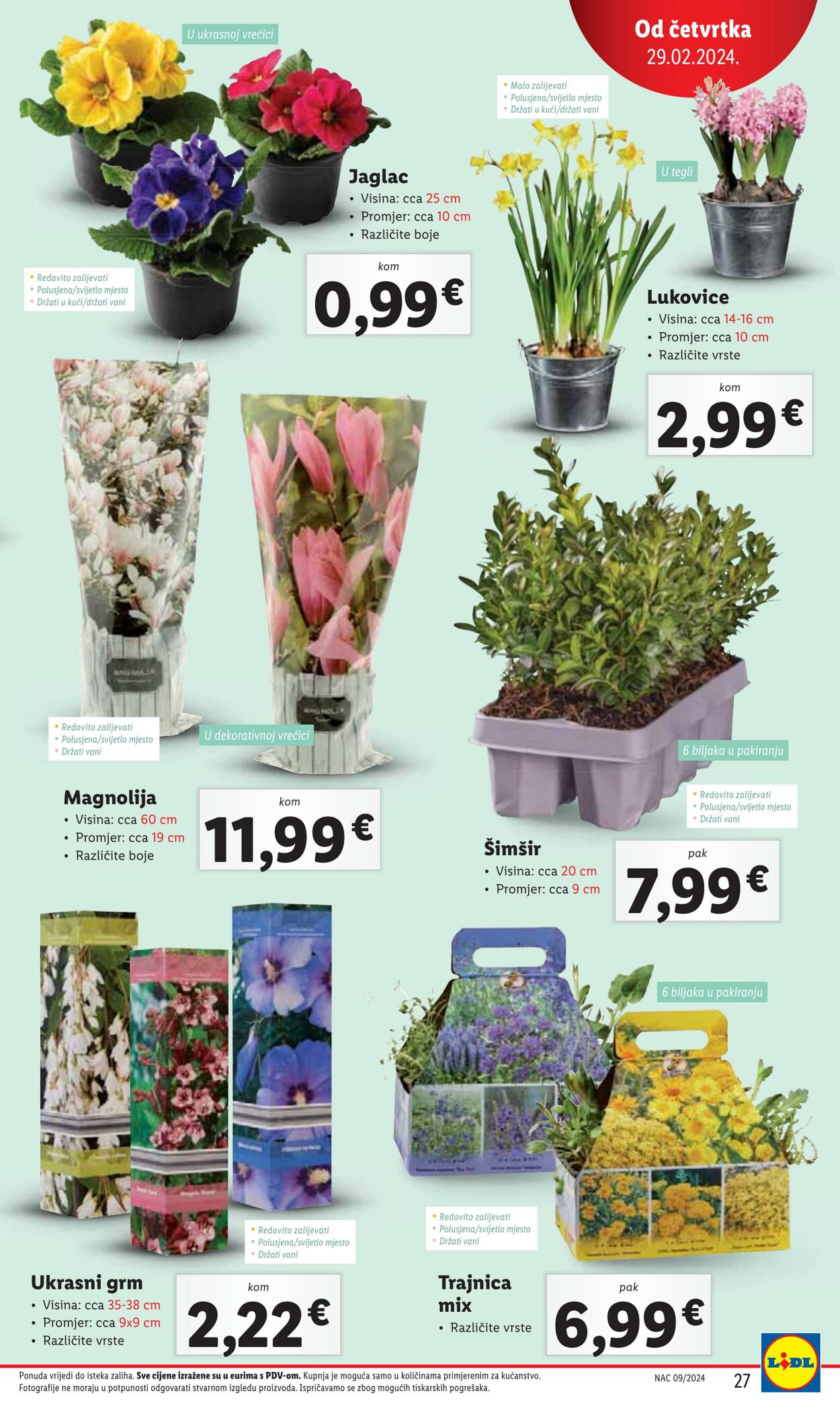 Katalog Lidl 29.02.2024 - 03.03.2024