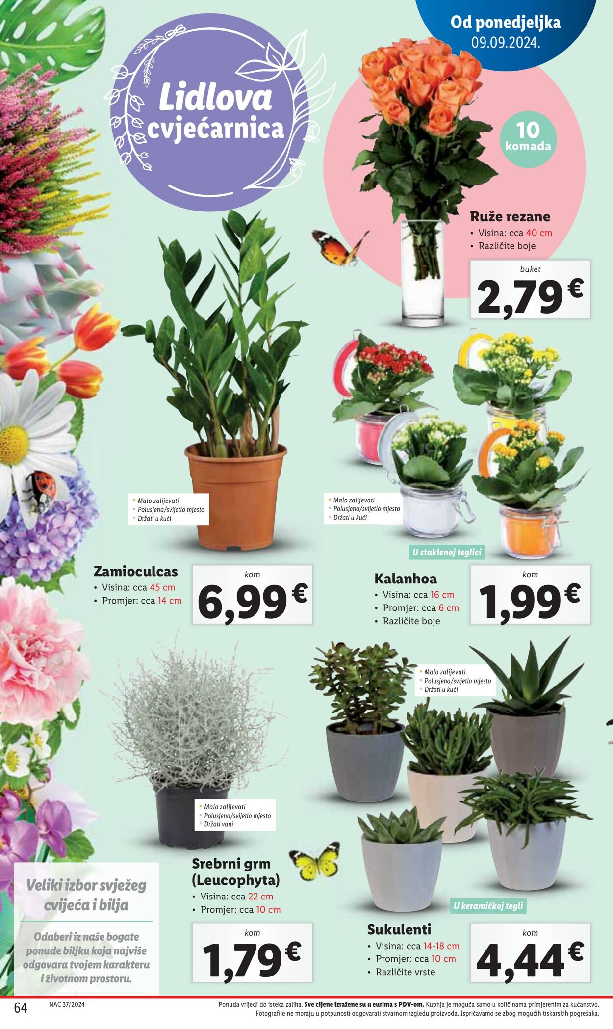 Katalog Lidl 11.09.2024 - 16.09.2024