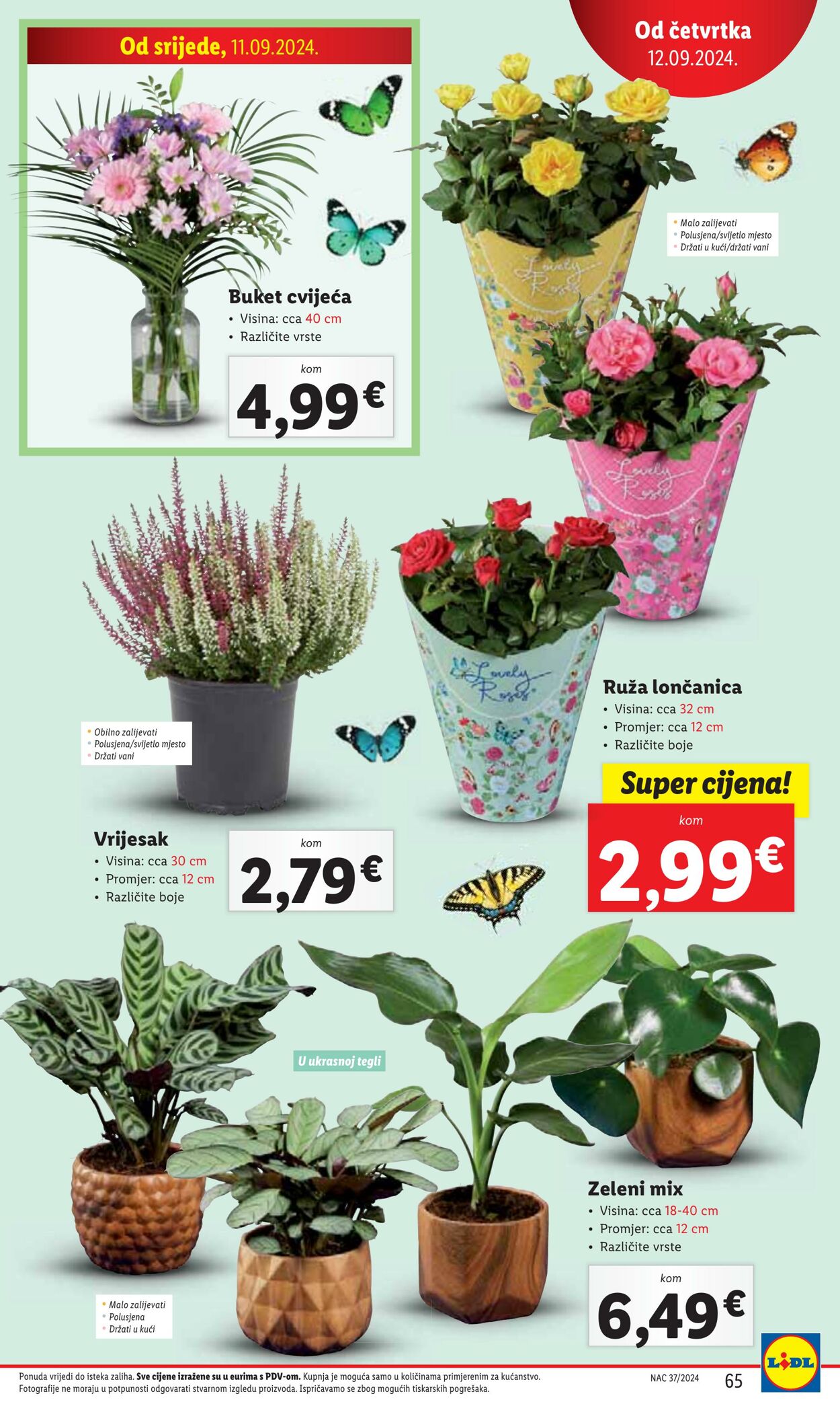 Katalog Lidl 11.09.2024 - 16.09.2024