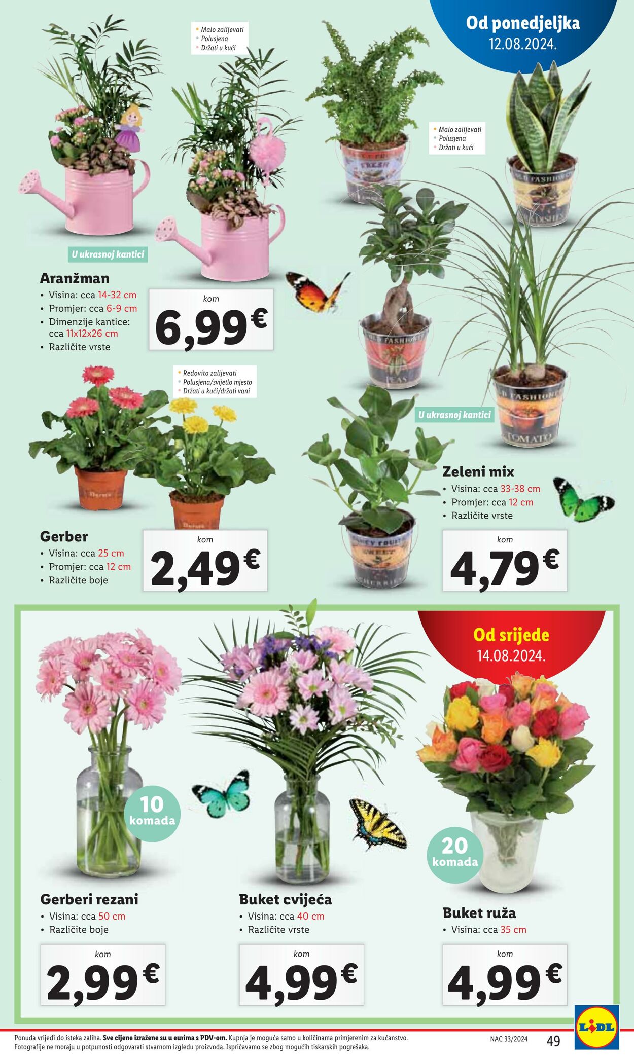 Katalog Lidl 12.08.2024 - 18.08.2024