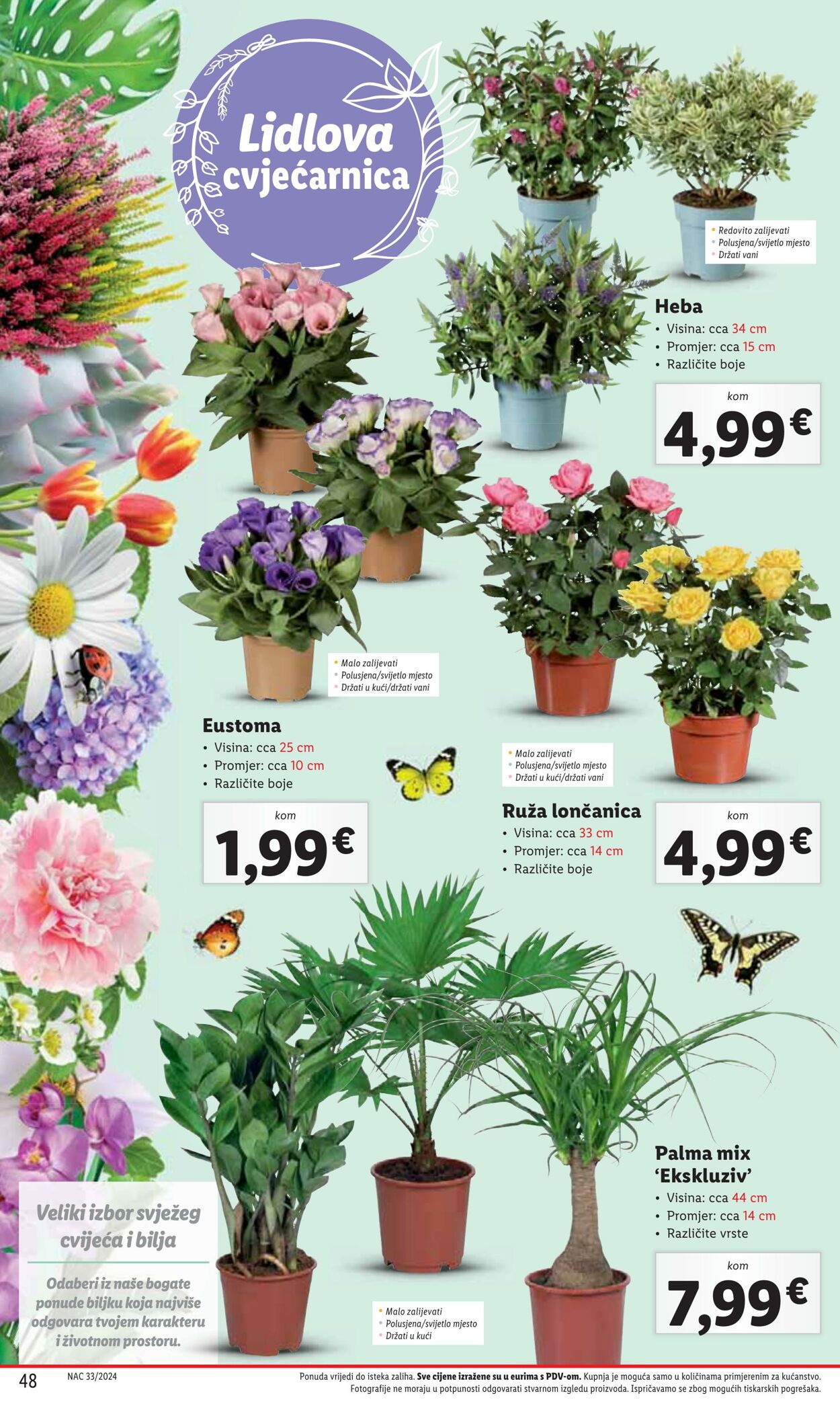 Katalog Lidl 12.08.2024 - 18.08.2024