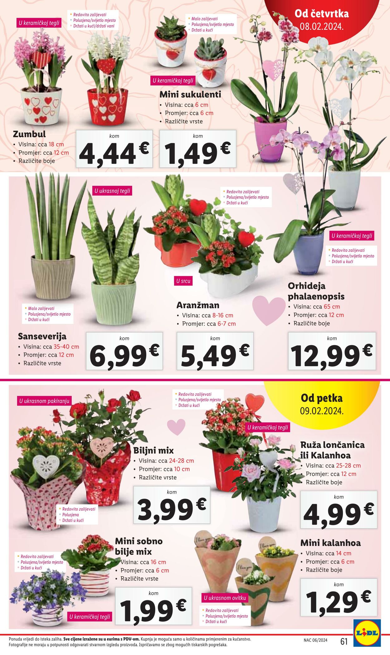 Katalog Lidl 05.02.2024 - 10.02.2024