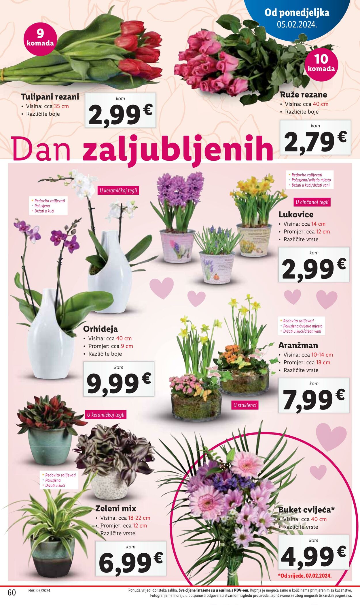 Katalog Lidl 05.02.2024 - 10.02.2024