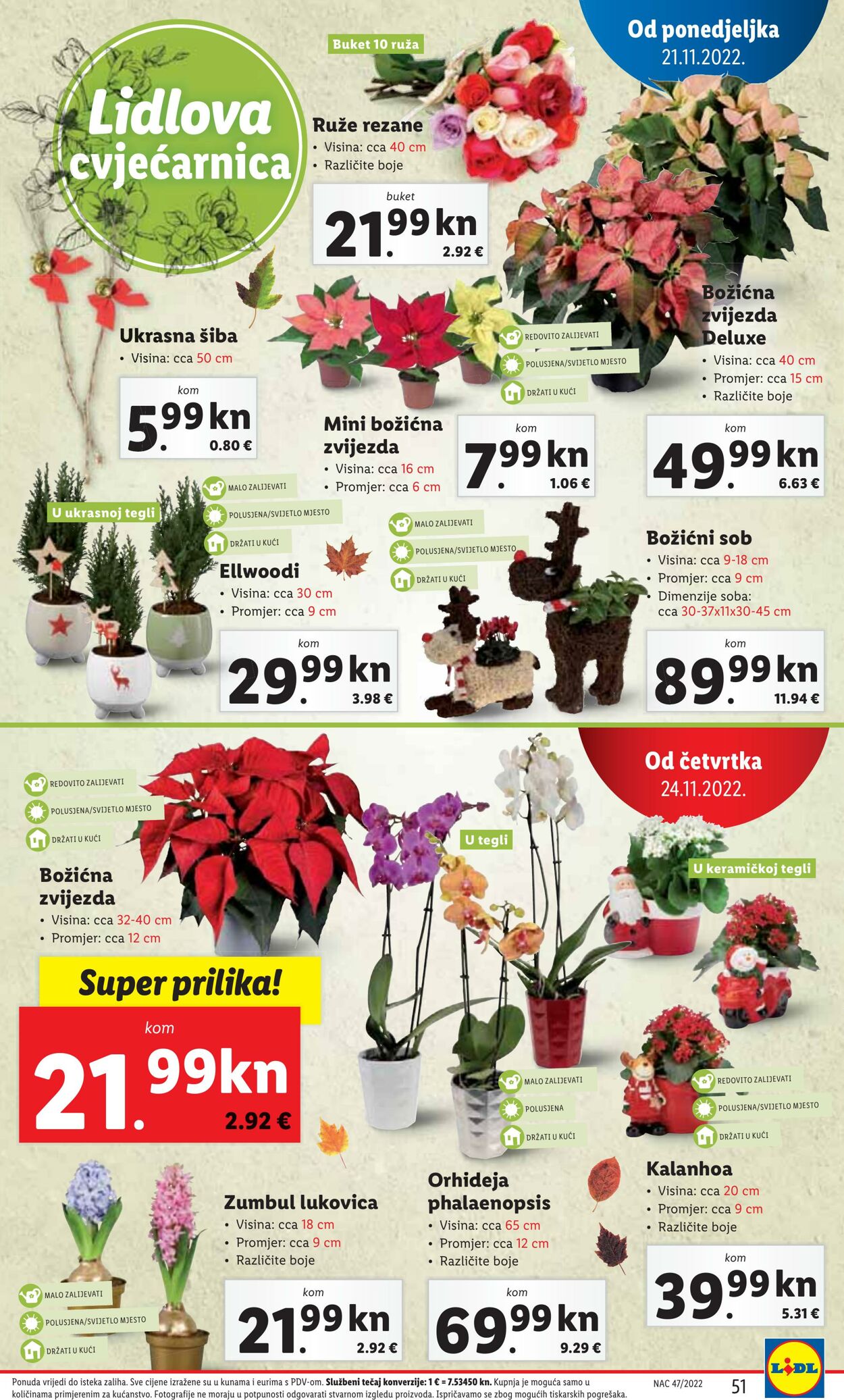 Katalog Lidl 21.11.2022 - 27.11.2022