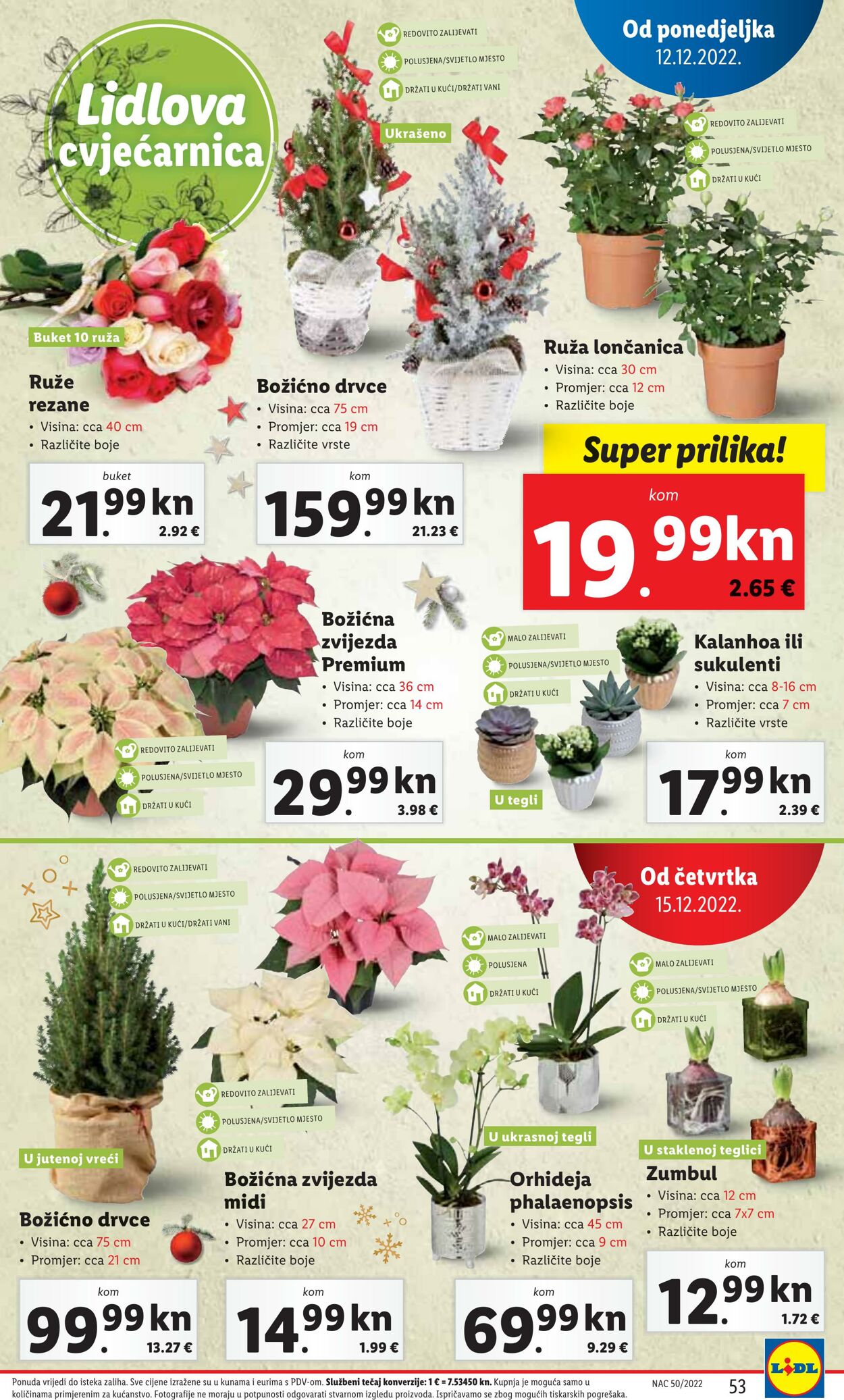 Katalog Lidl 12.12.2022 - 18.12.2022