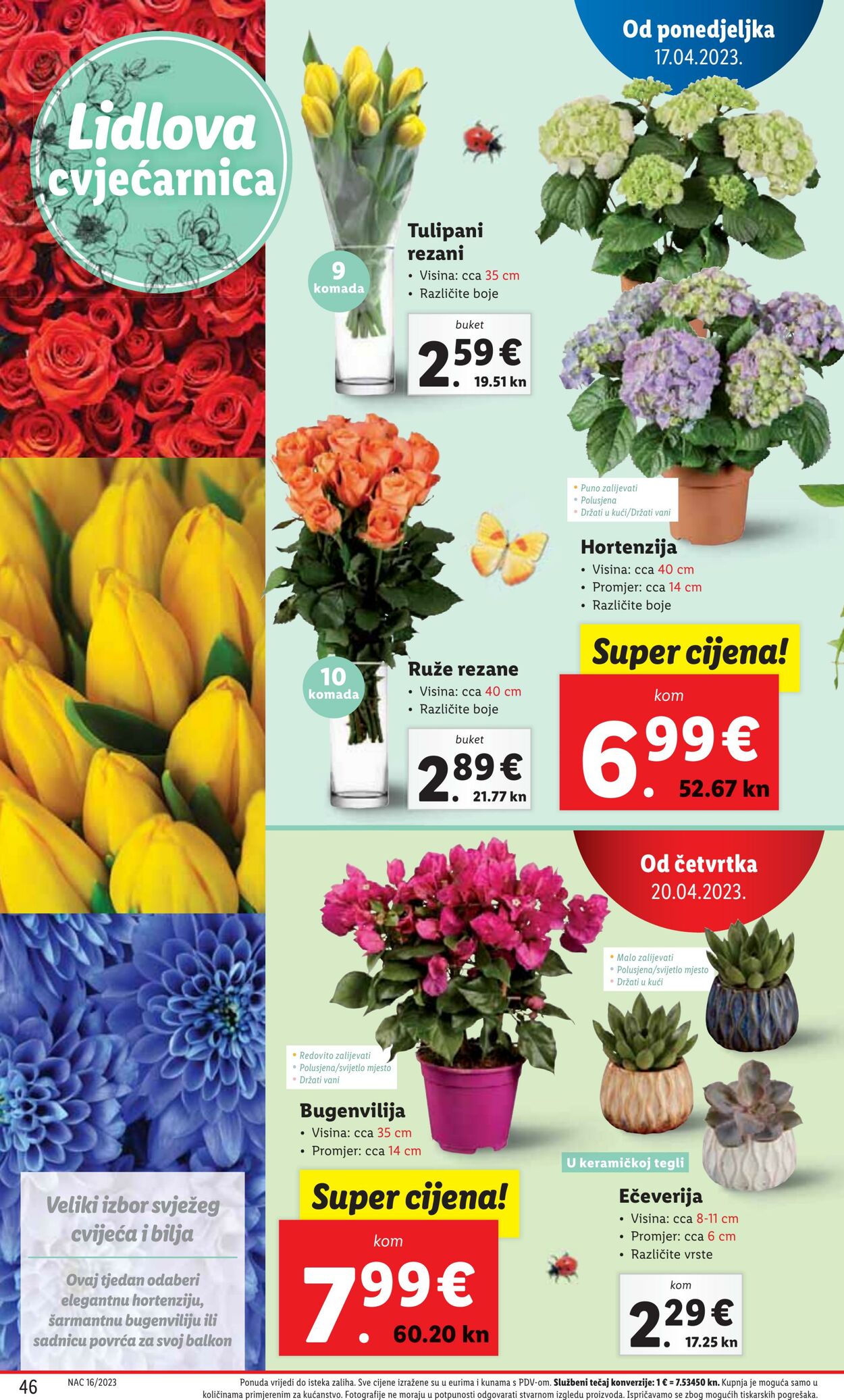 Katalog Lidl 17.04.2023 - 23.04.2023