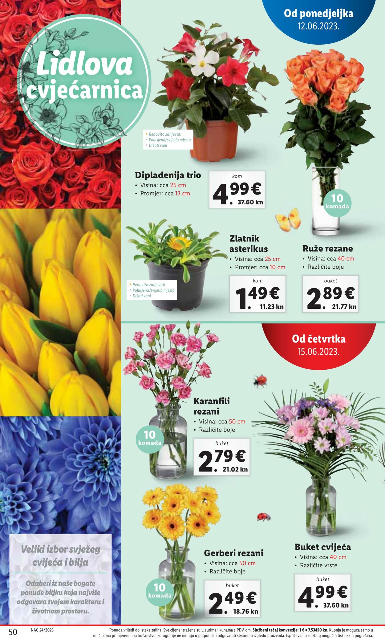 Katalog Lidl 12.06.2023 - 18.06.2023