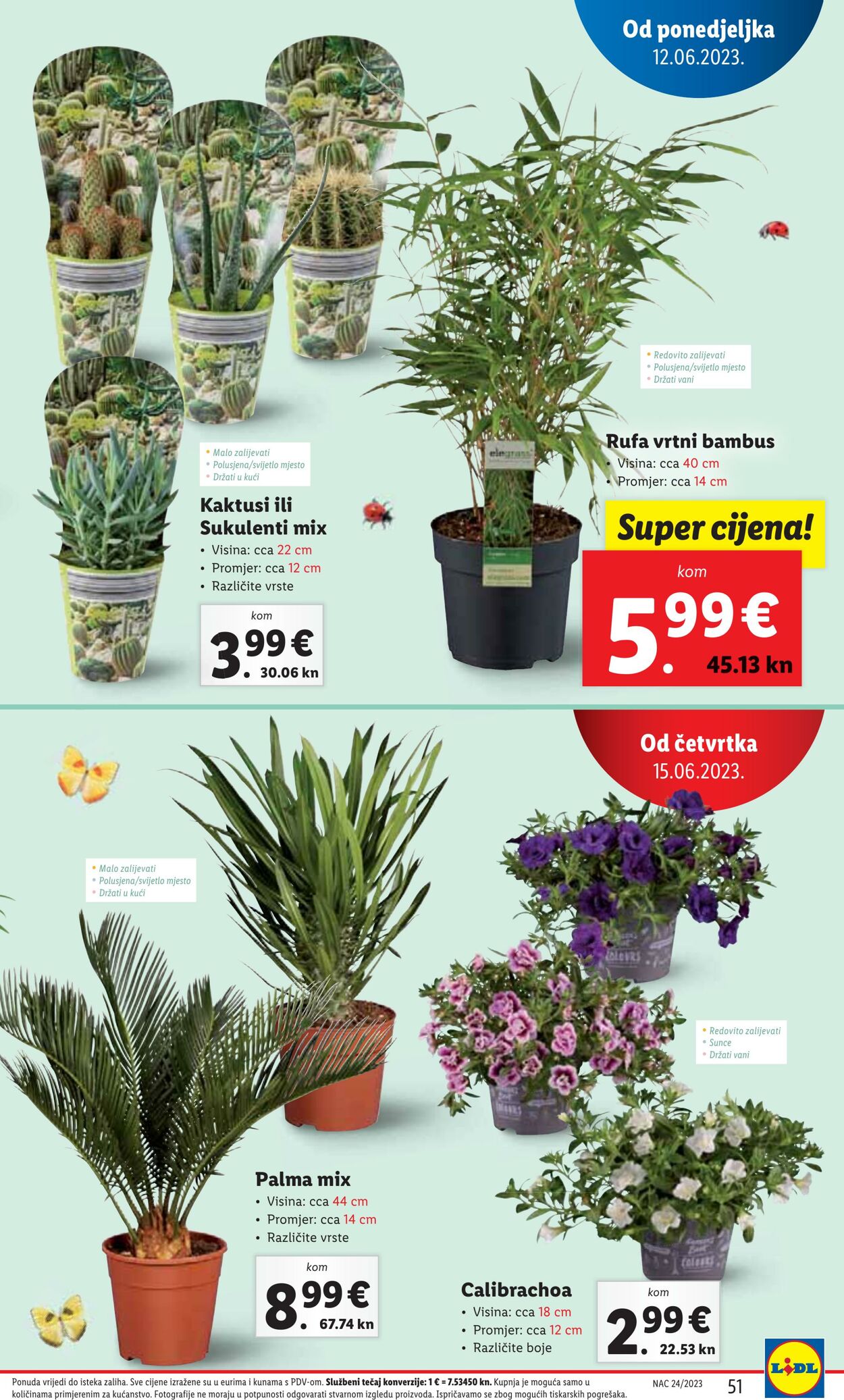 Katalog Lidl 12.06.2023 - 18.06.2023