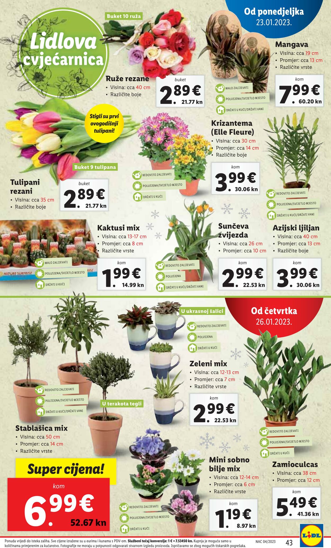 Katalog Lidl 23.01.2023 - 29.01.2023