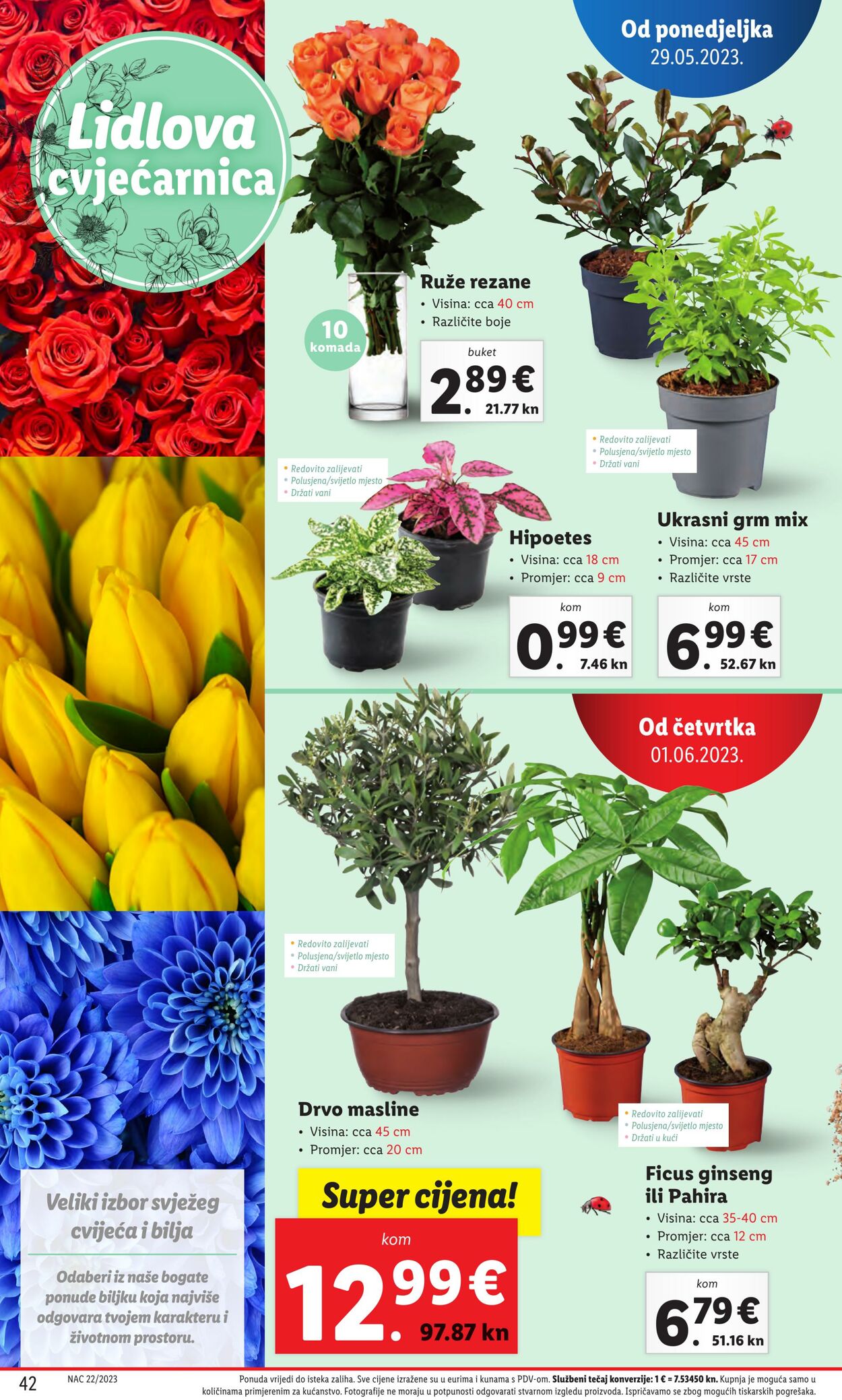 Katalog Lidl 29.05.2023 - 04.06.2023