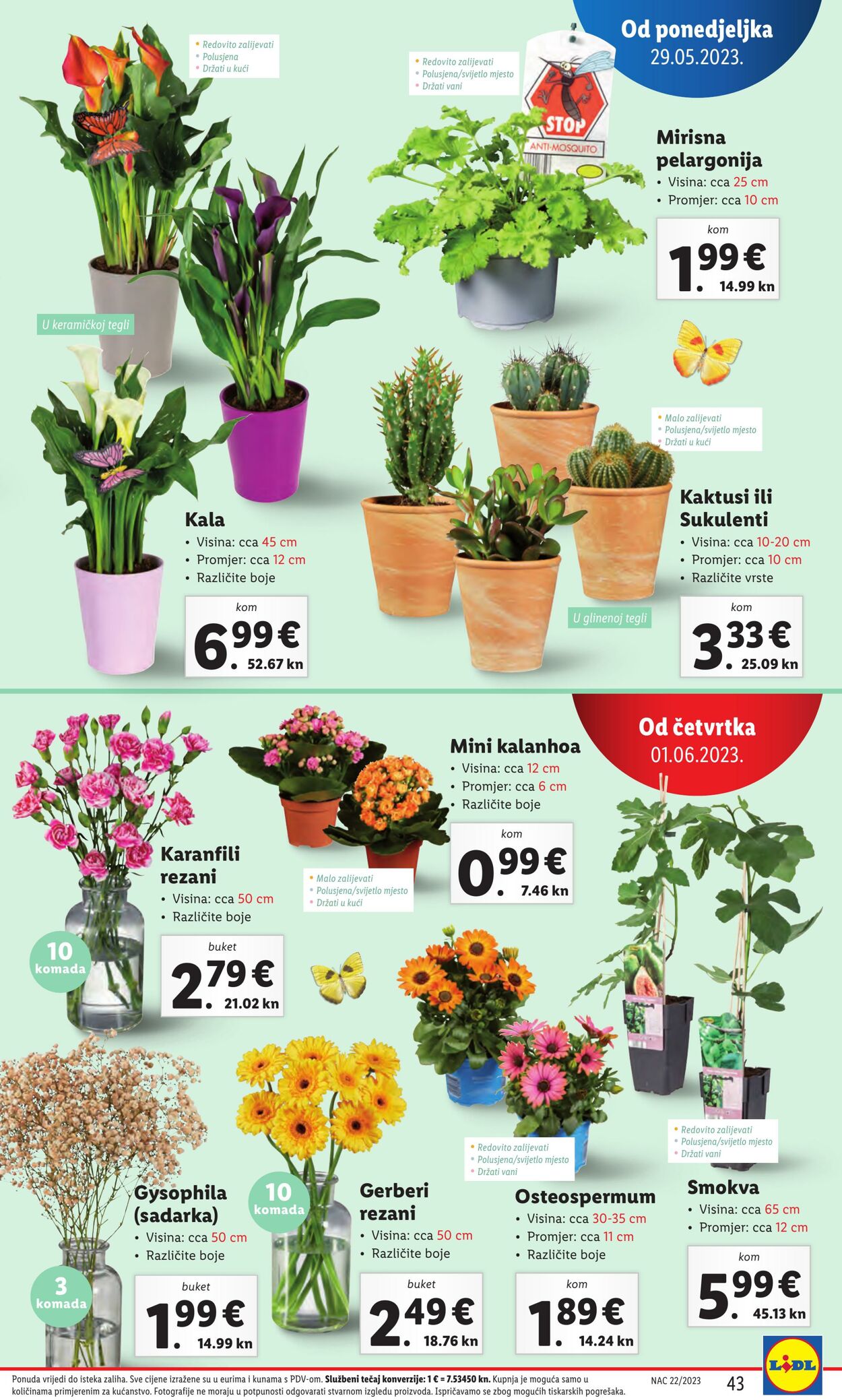 Katalog Lidl 29.05.2023 - 04.06.2023