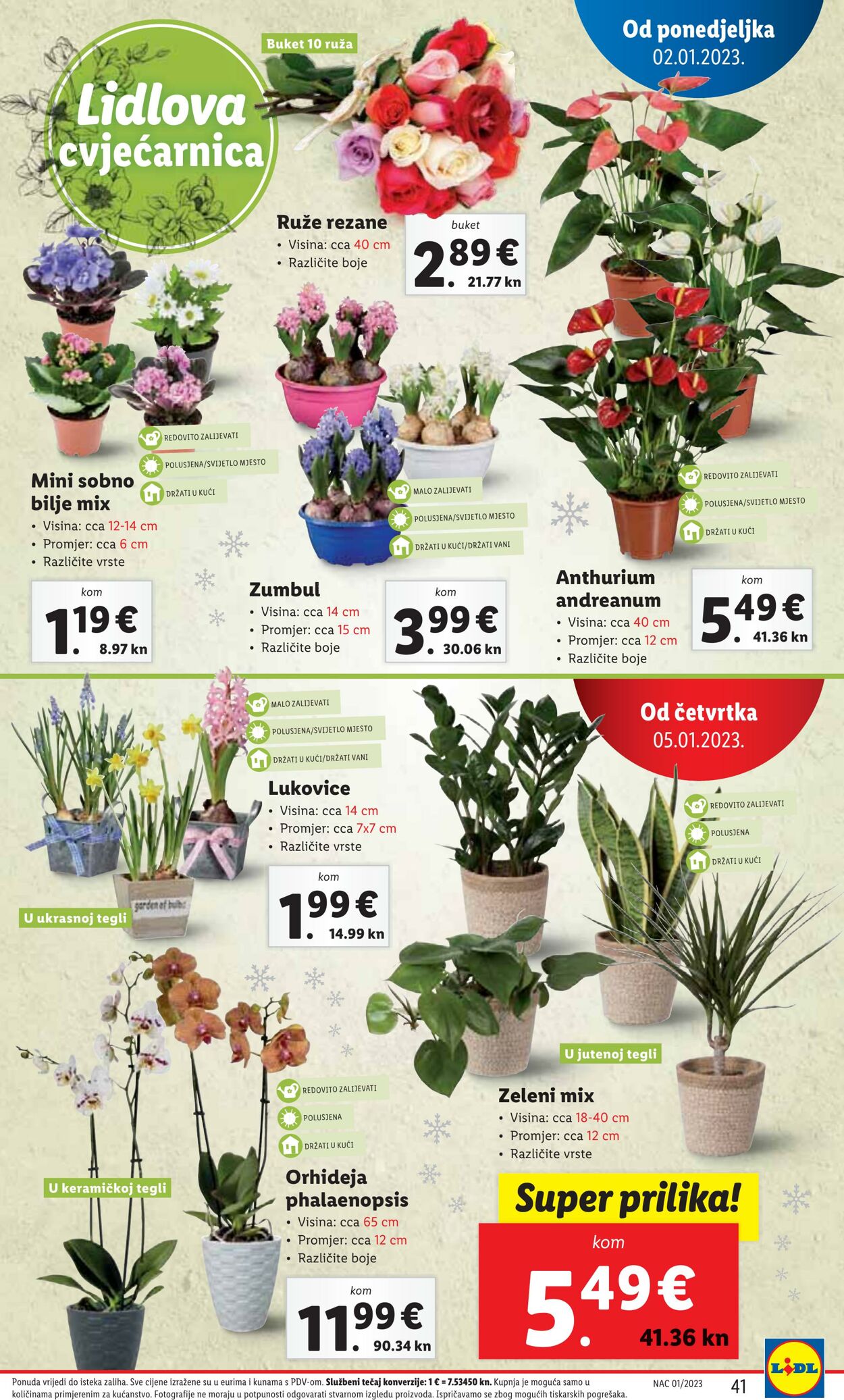 Katalog Lidl 02.01.2023 - 08.01.2023