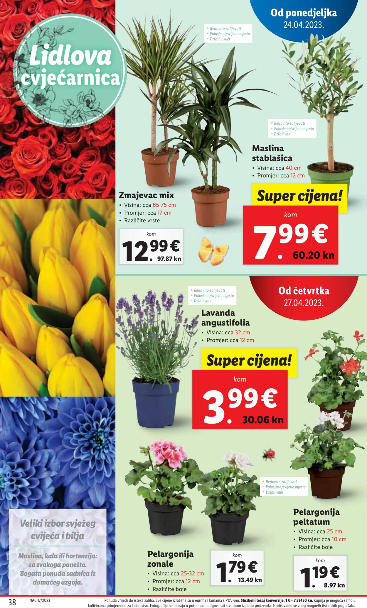 Katalog Lidl 24.04.2023 - 01.05.2023