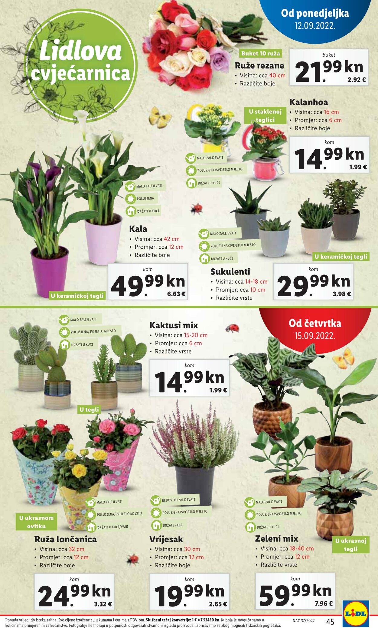 Katalog Lidl 12.09.2022 - 18.09.2022