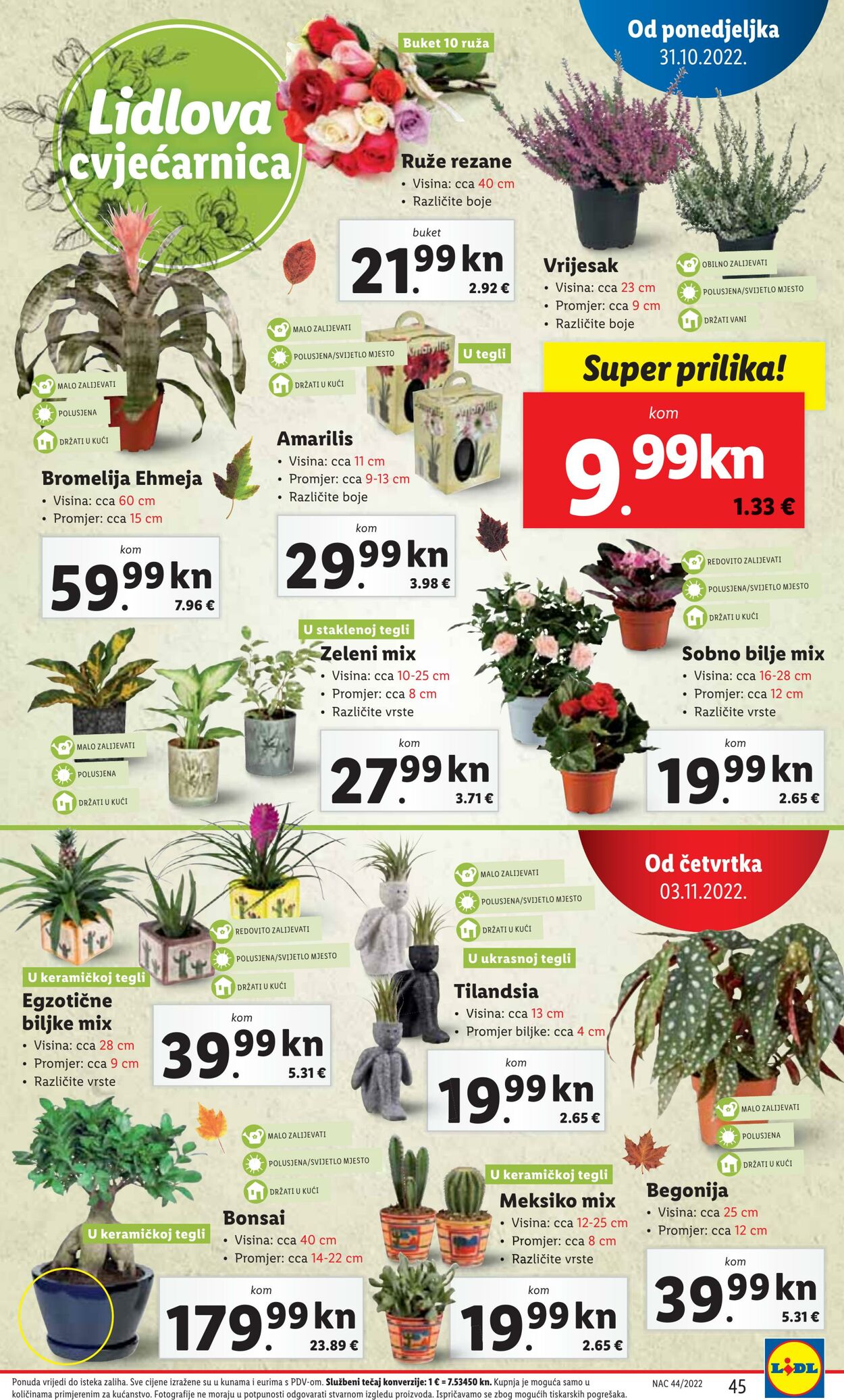 Katalog Lidl 31.10.2022 - 06.11.2022