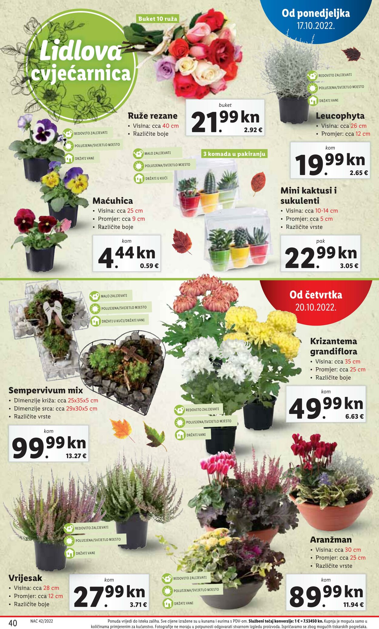 Katalog Lidl 17.10.2022 - 23.10.2022