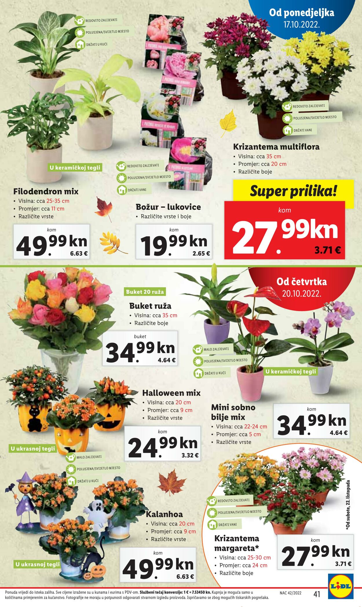 Katalog Lidl 17.10.2022 - 23.10.2022